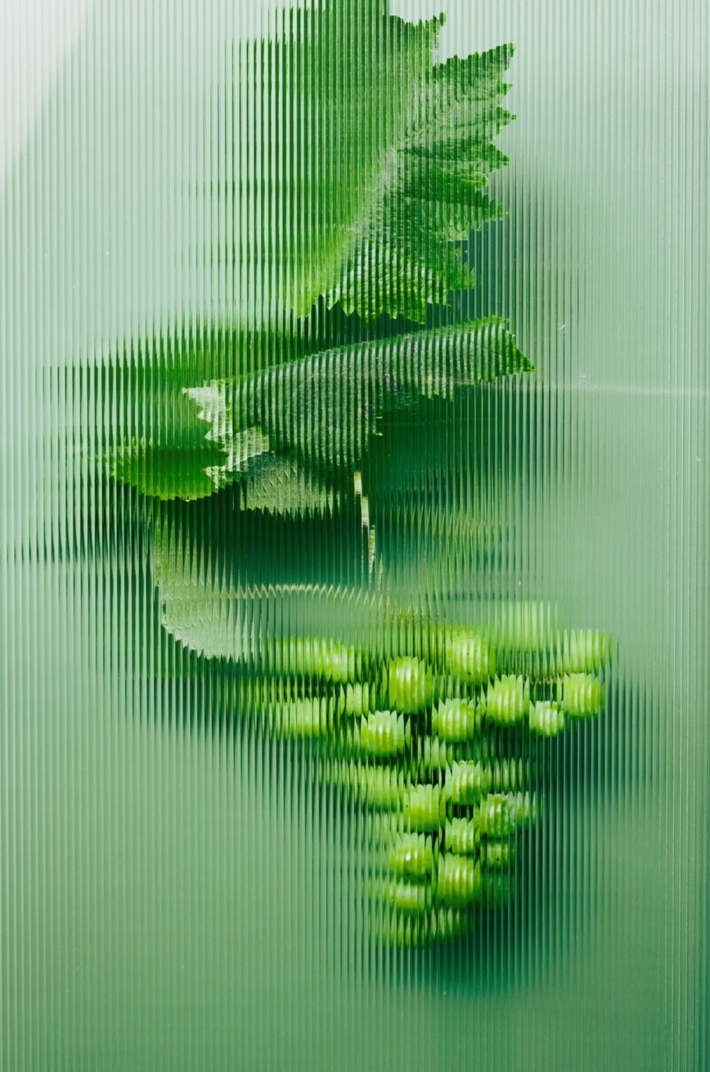 Ontwerp zonder titel-2 kopie 5.jpg