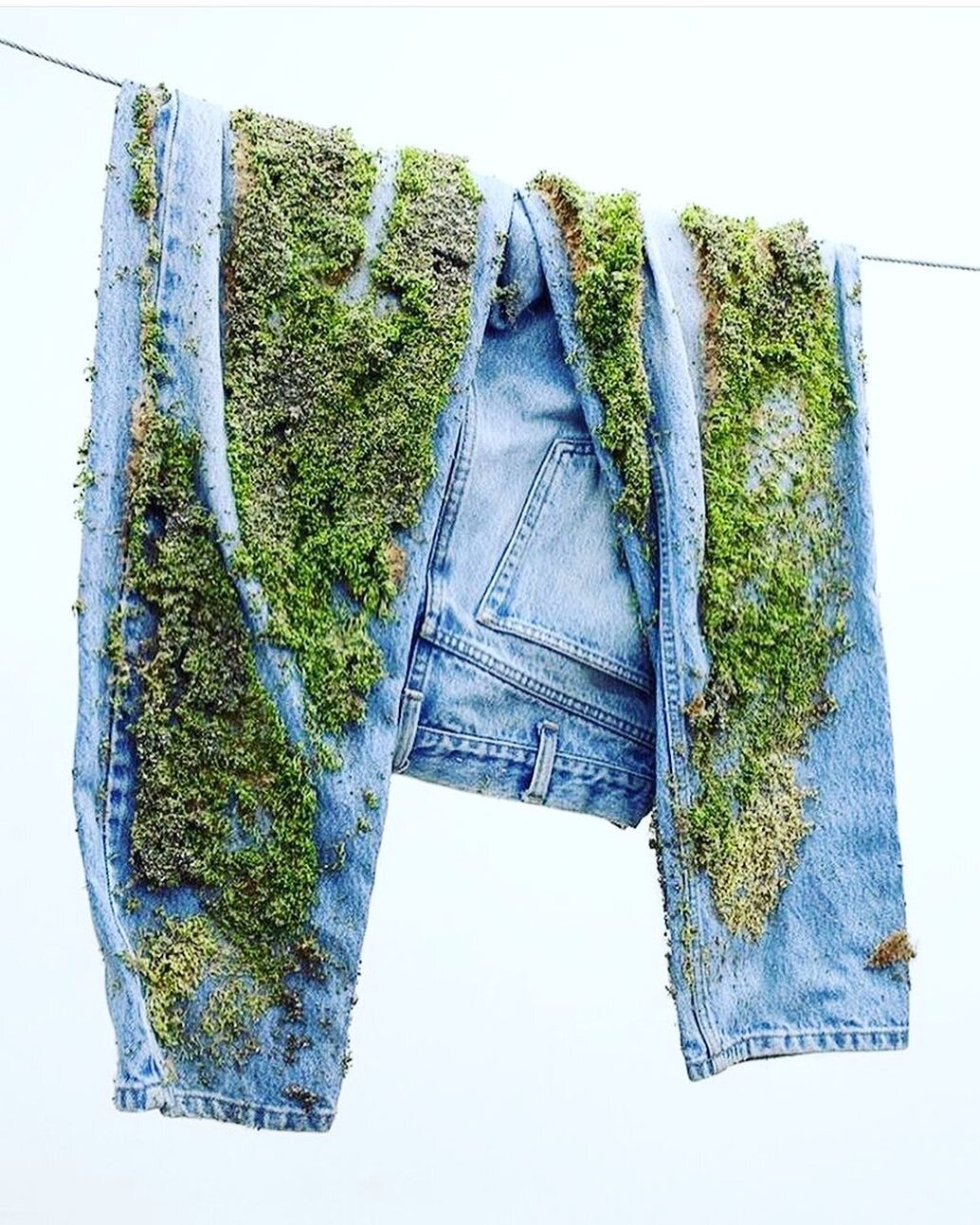 Your jeans don&rsquo;t have to cost the earth! There is no reason to use excessive water, hazardous chemicals and filling up landfill with textile waste! At Blue Dojo we are committed to working with brands, suppliers and mills who are working in a m
