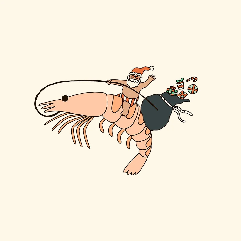 JOLYN Aussie Christmas Illustrations