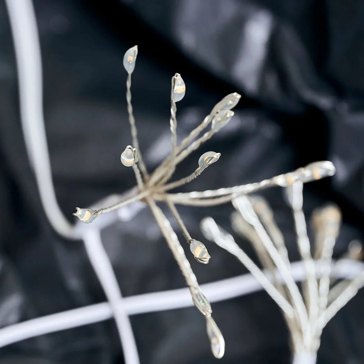 1E8B5EC5-42ED-41F0-B0C3-B1B86399218A