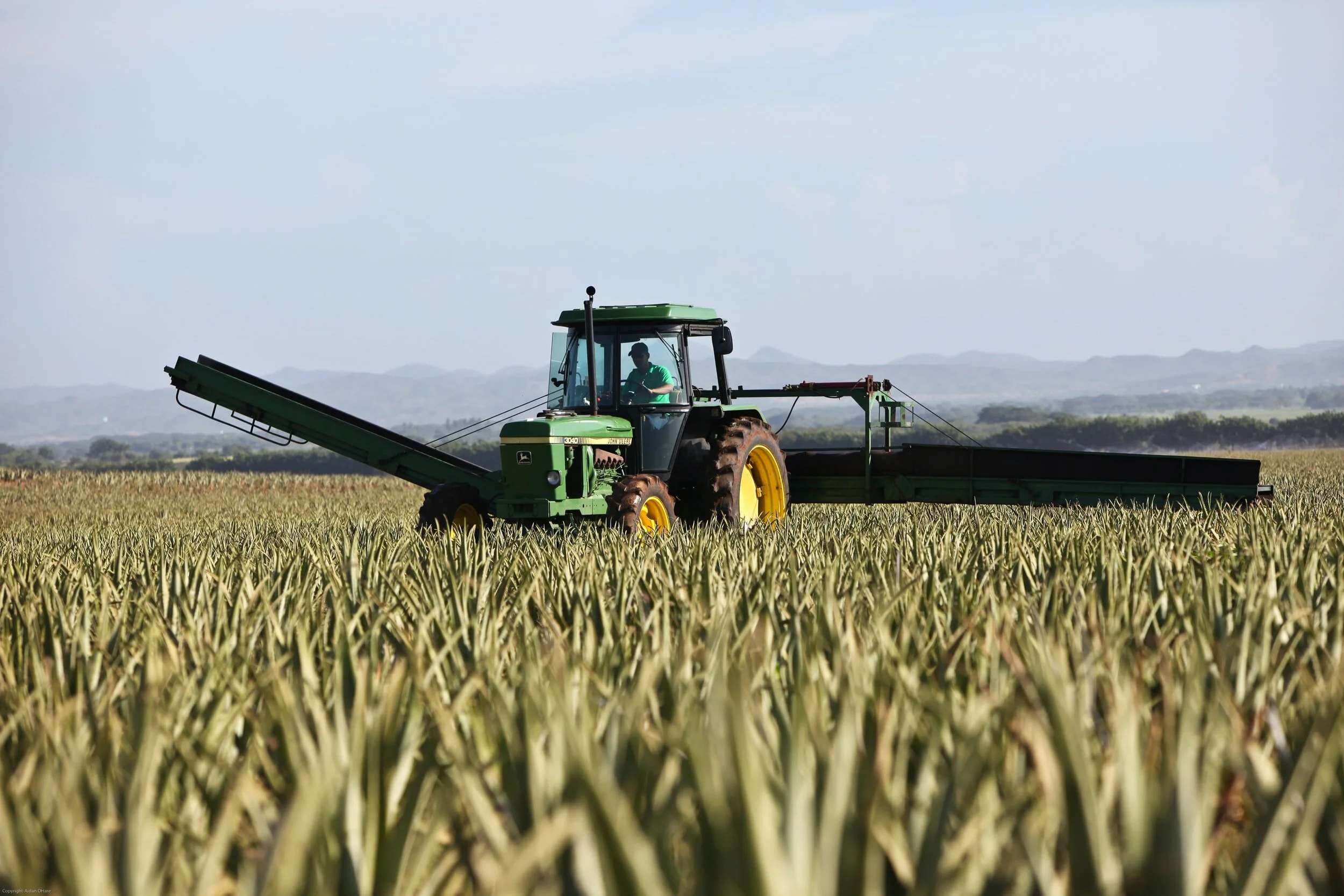 Translated: Updated advice for seasonal agricultural workers by the UK Government