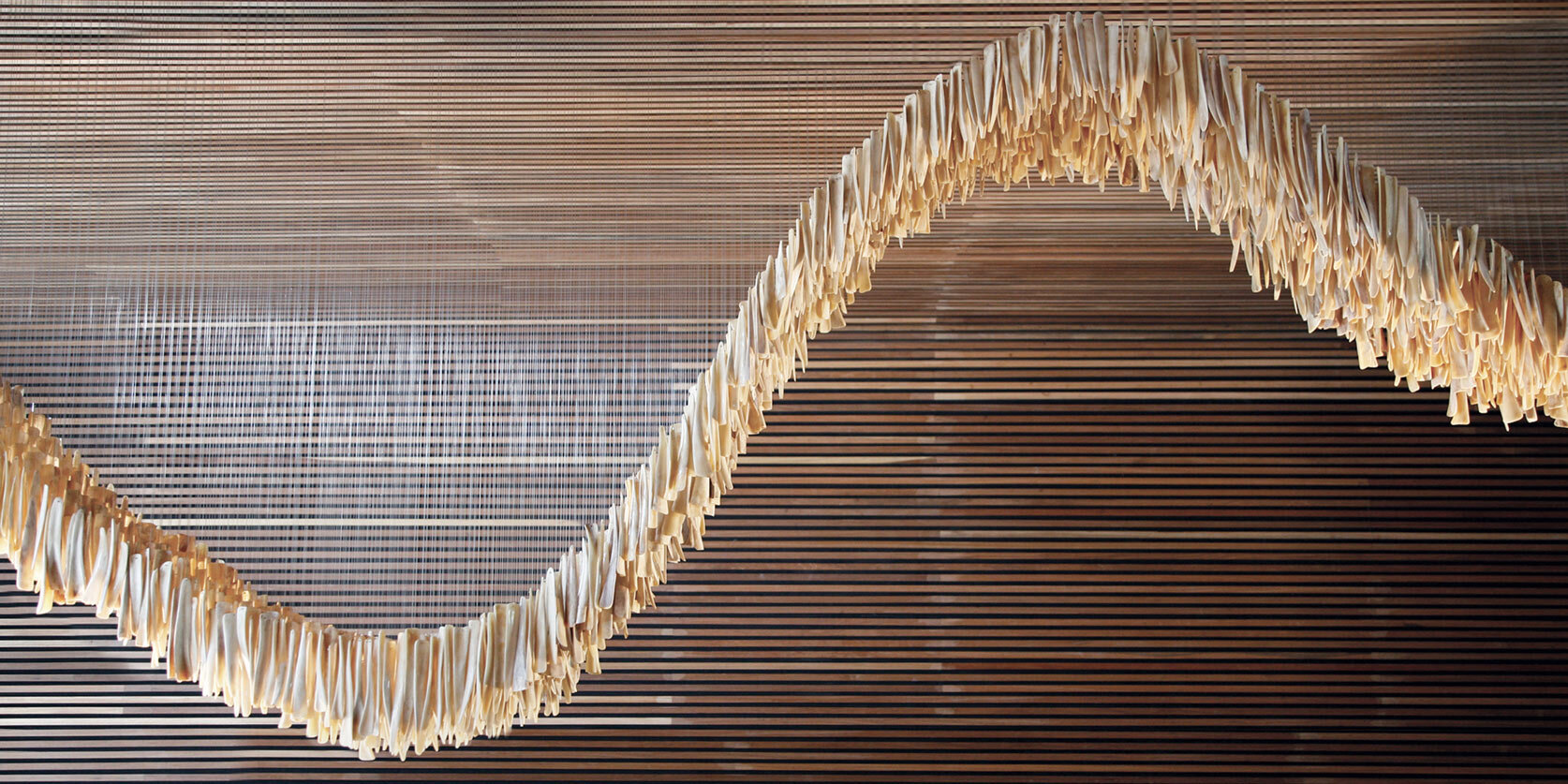 Reincarnation of the Sapi 