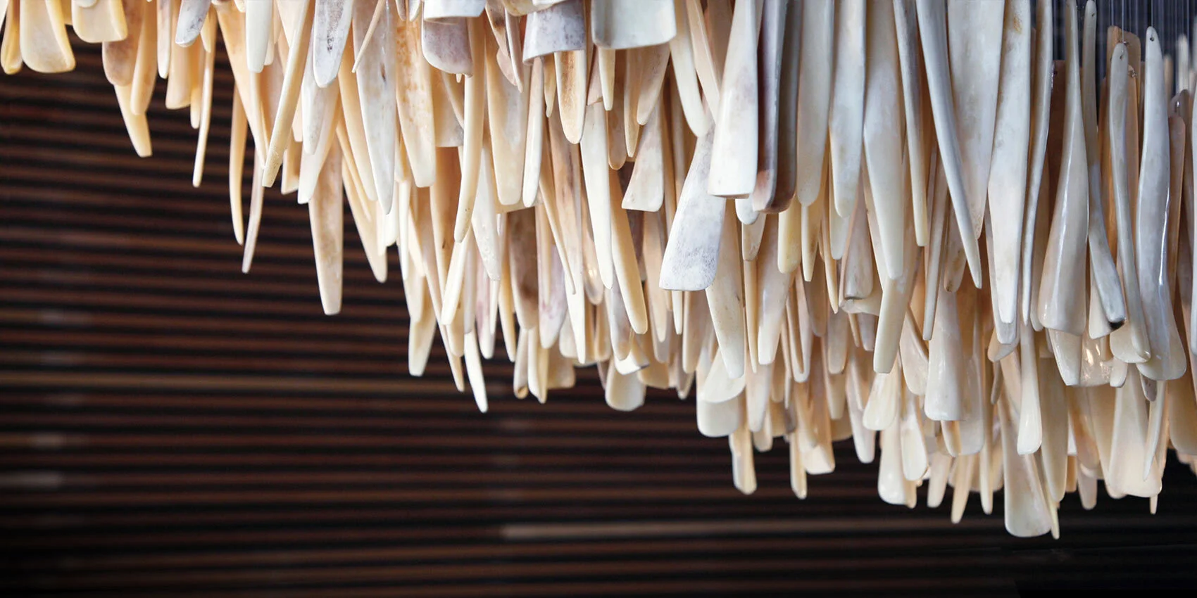 Reincarnation of the Sapi 