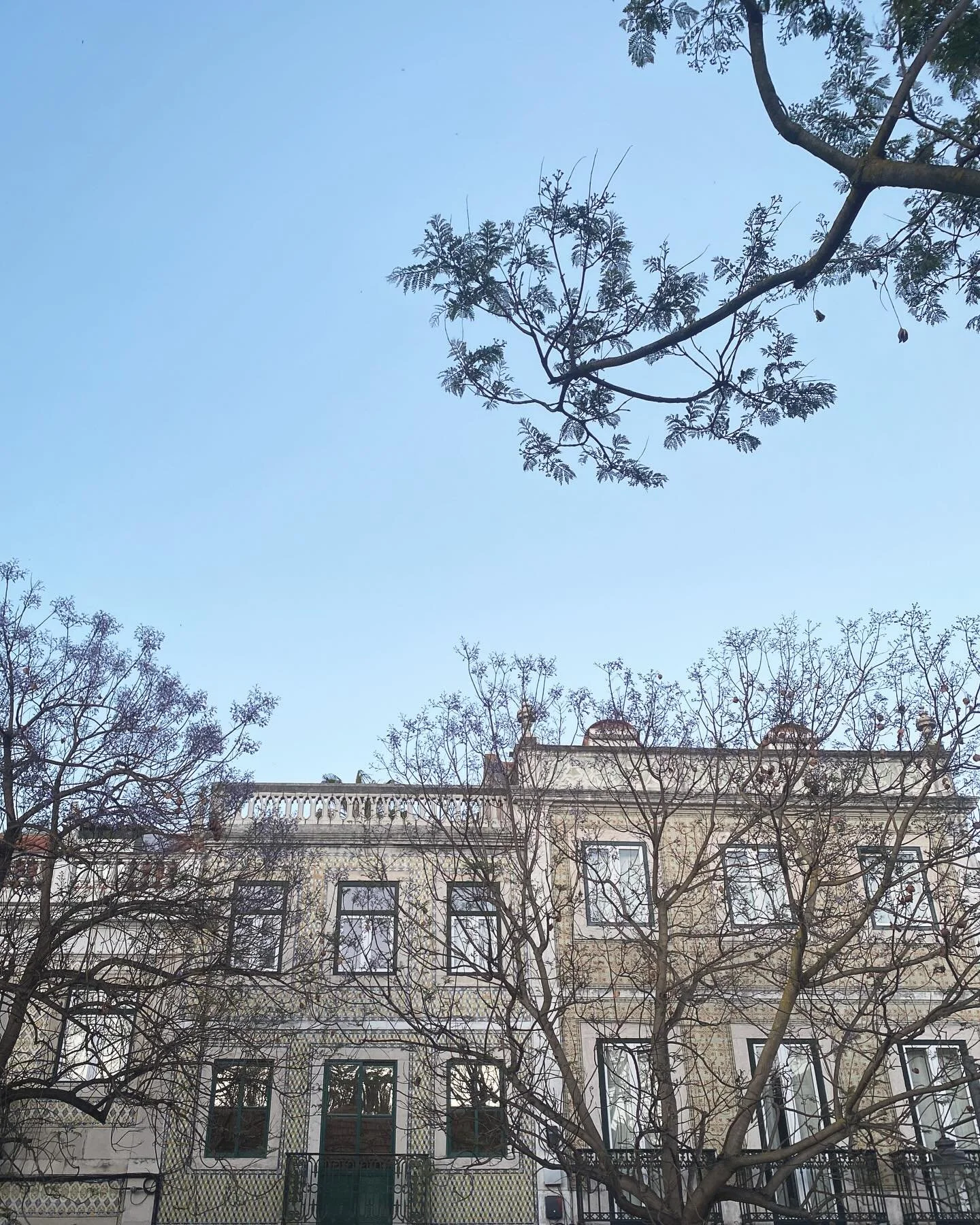 lisbon > lagos. many pics taken. surprisingly few antics had. much seafood and wine consumed. would recommend. 🌊 ☀️ 🍤 🍷