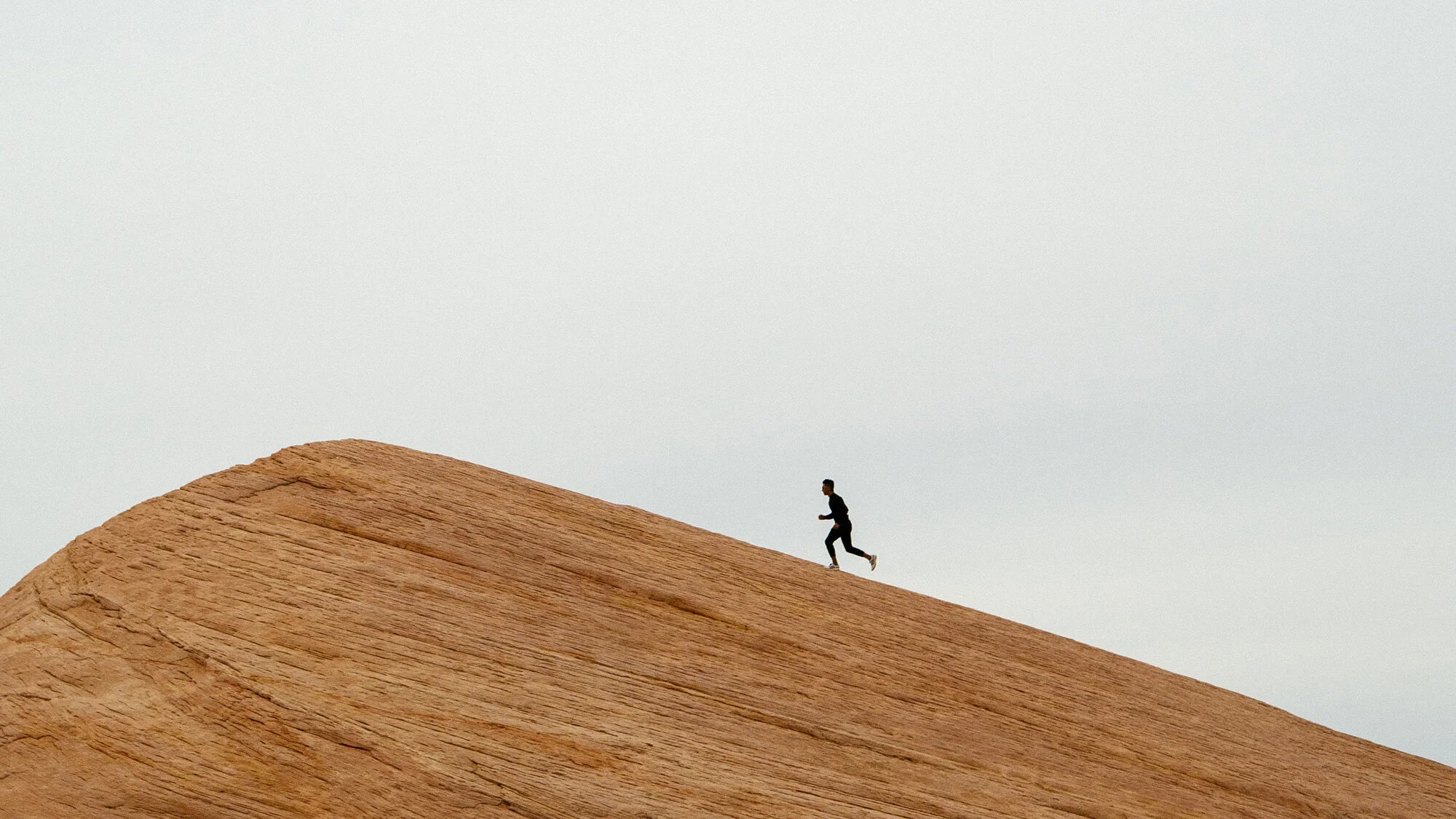 Day 33 — Is This The Year?