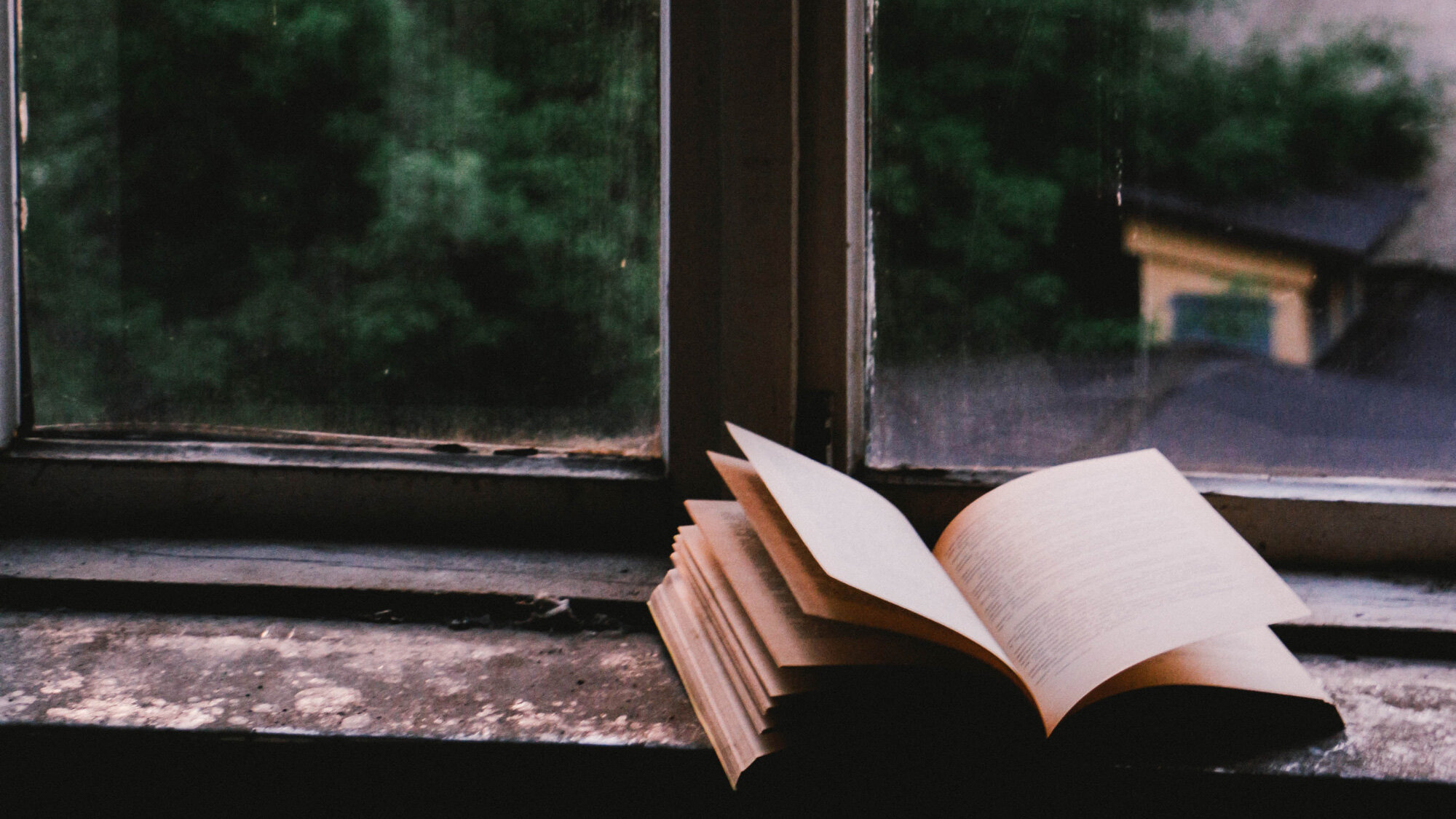 Day 49 — Your Story