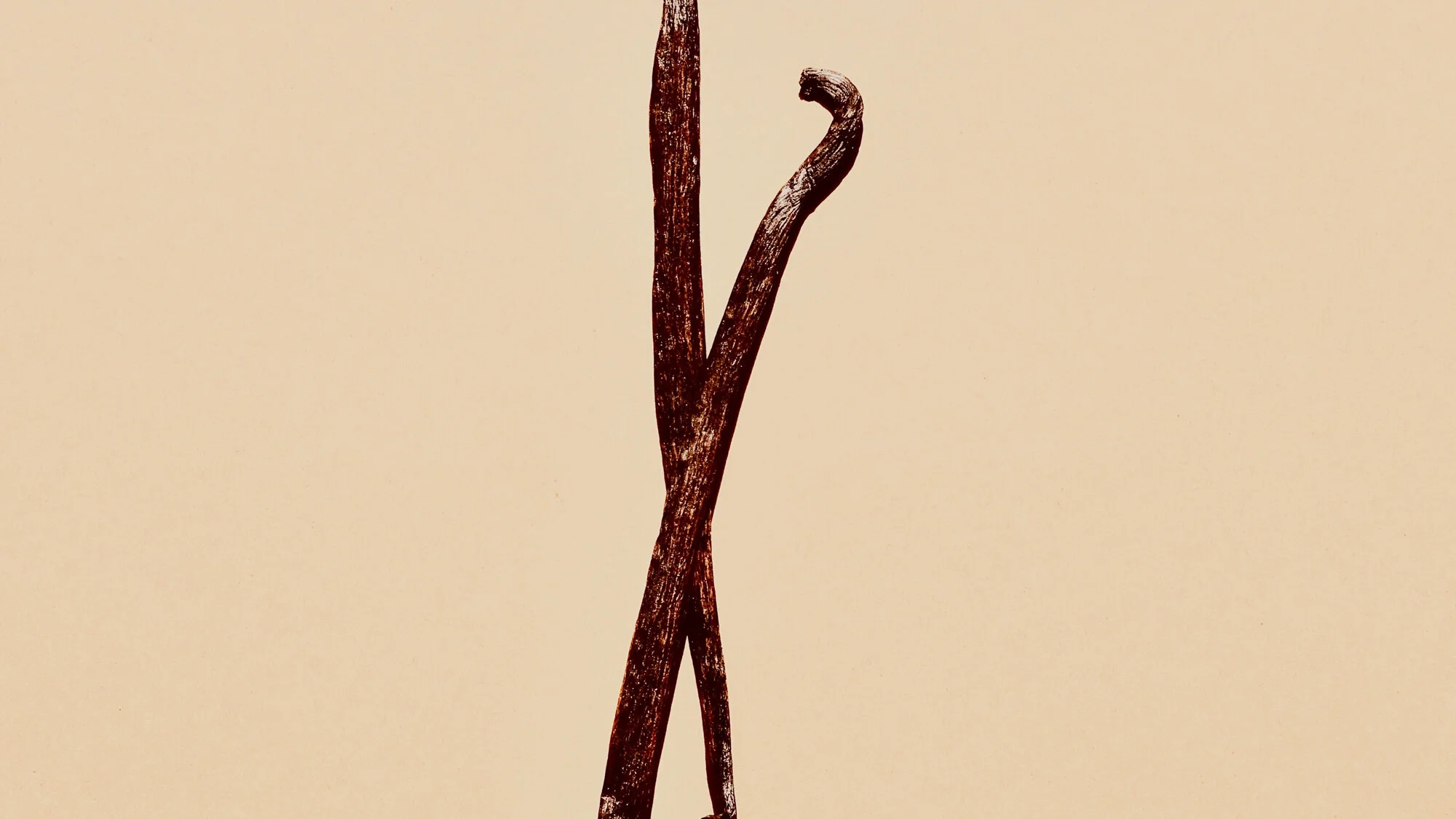 Day 72 - Soul Restoration 