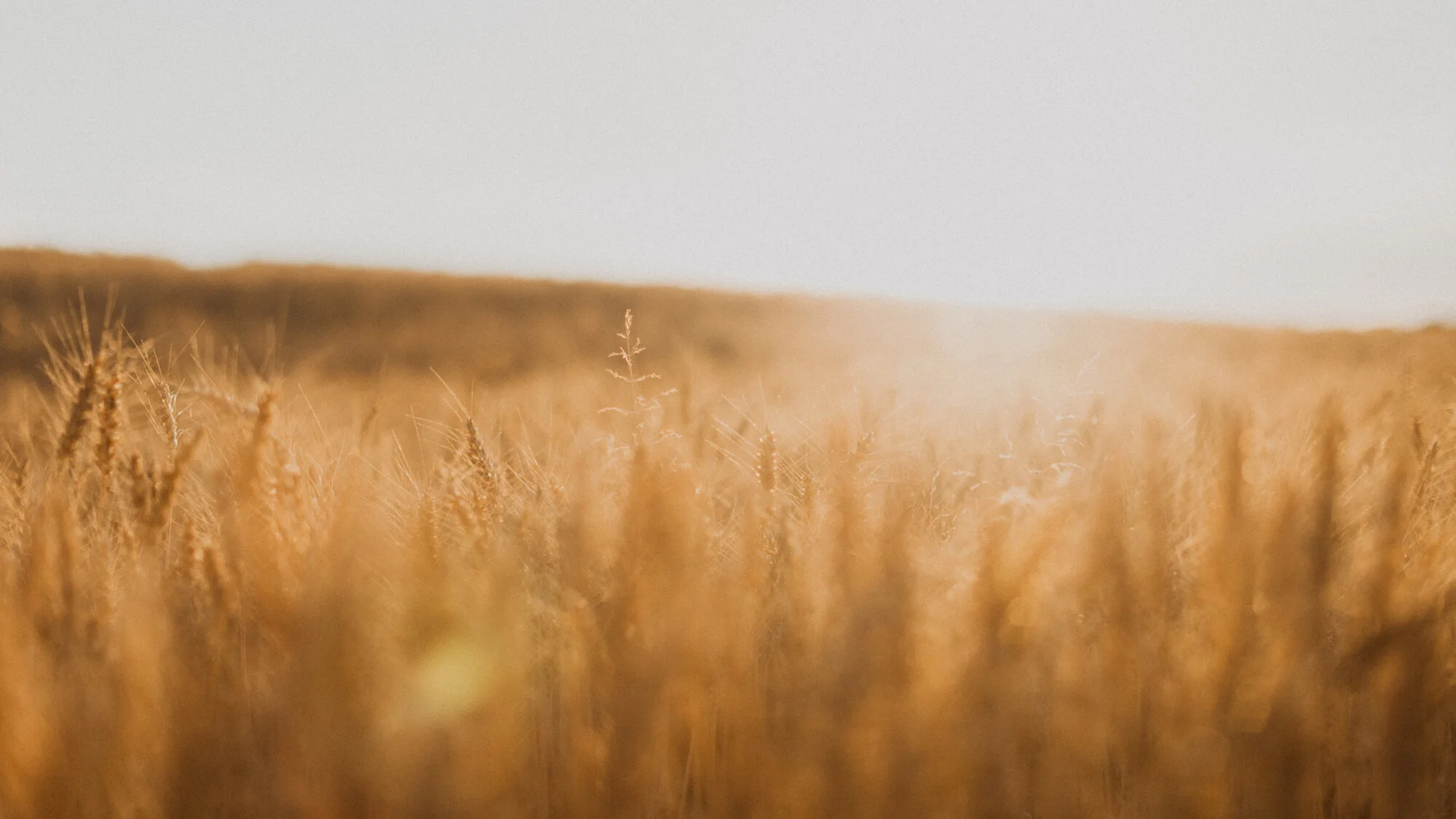 Day 77 – Run To or Run From?
