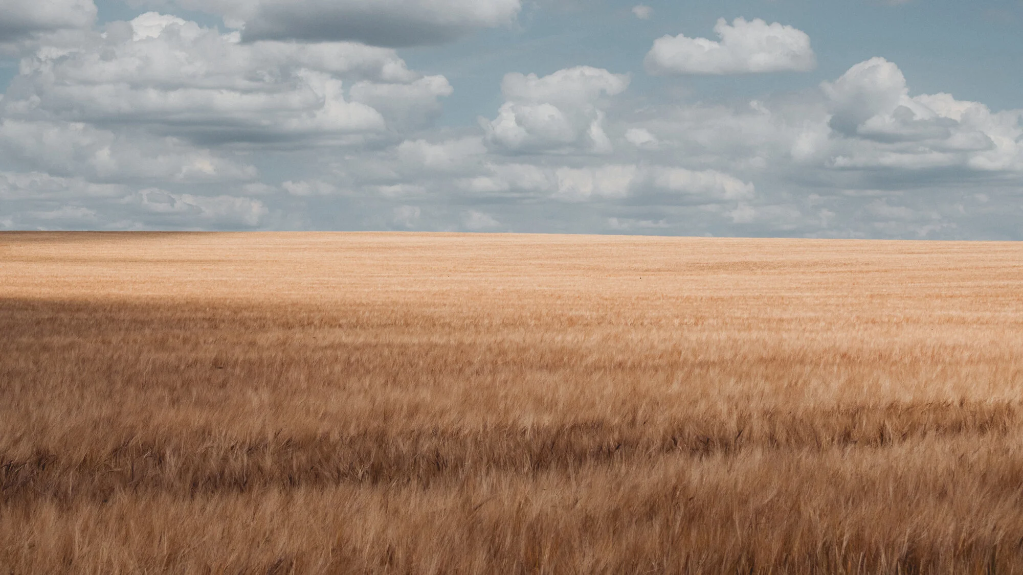 Day 86 — Trust In The Midst Of Uncertainty