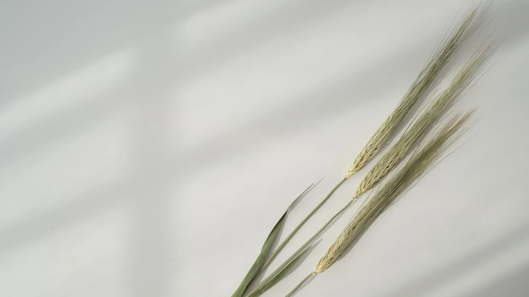 Day 94 — Who Is This?