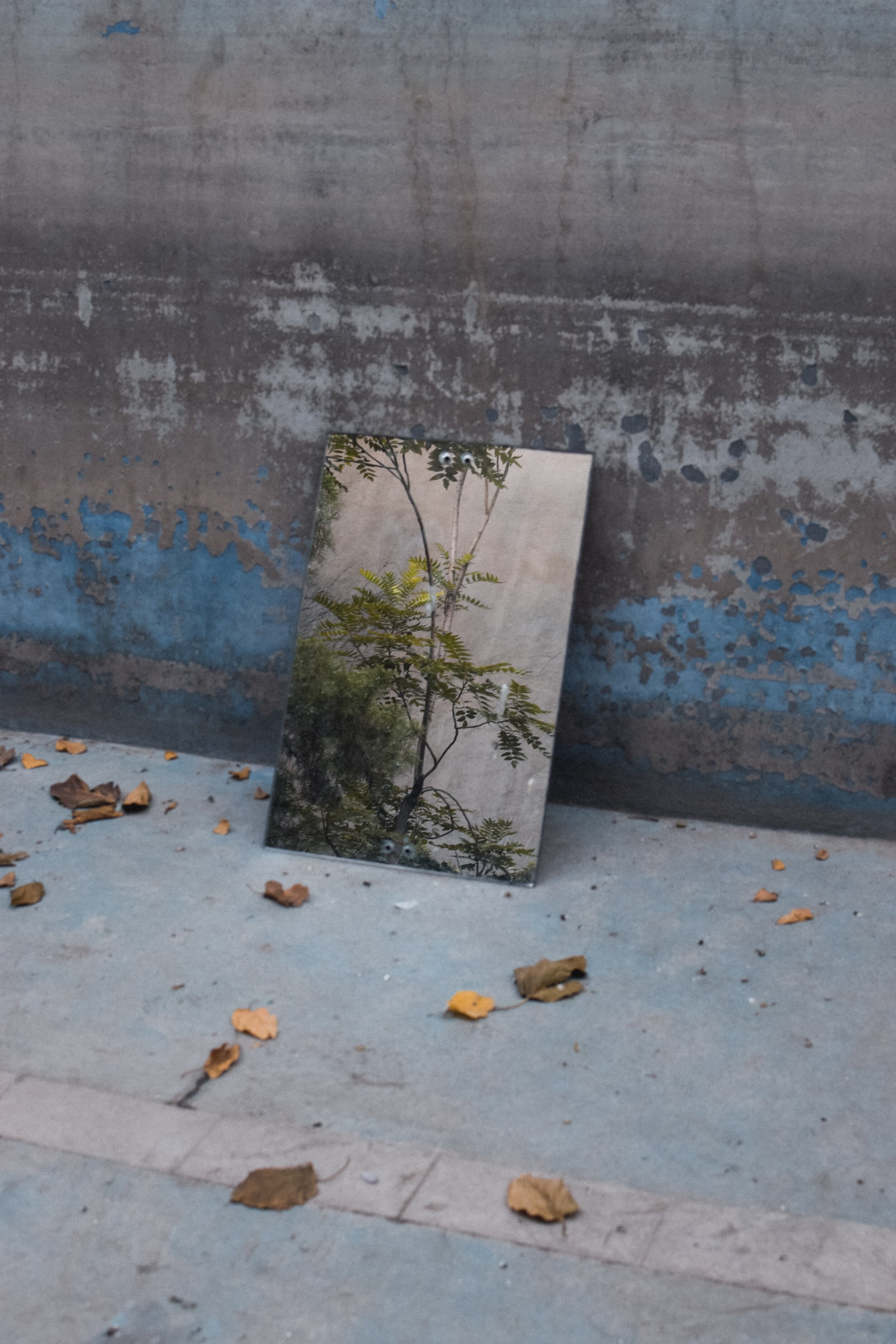 Transformation: Growing In Knowledge