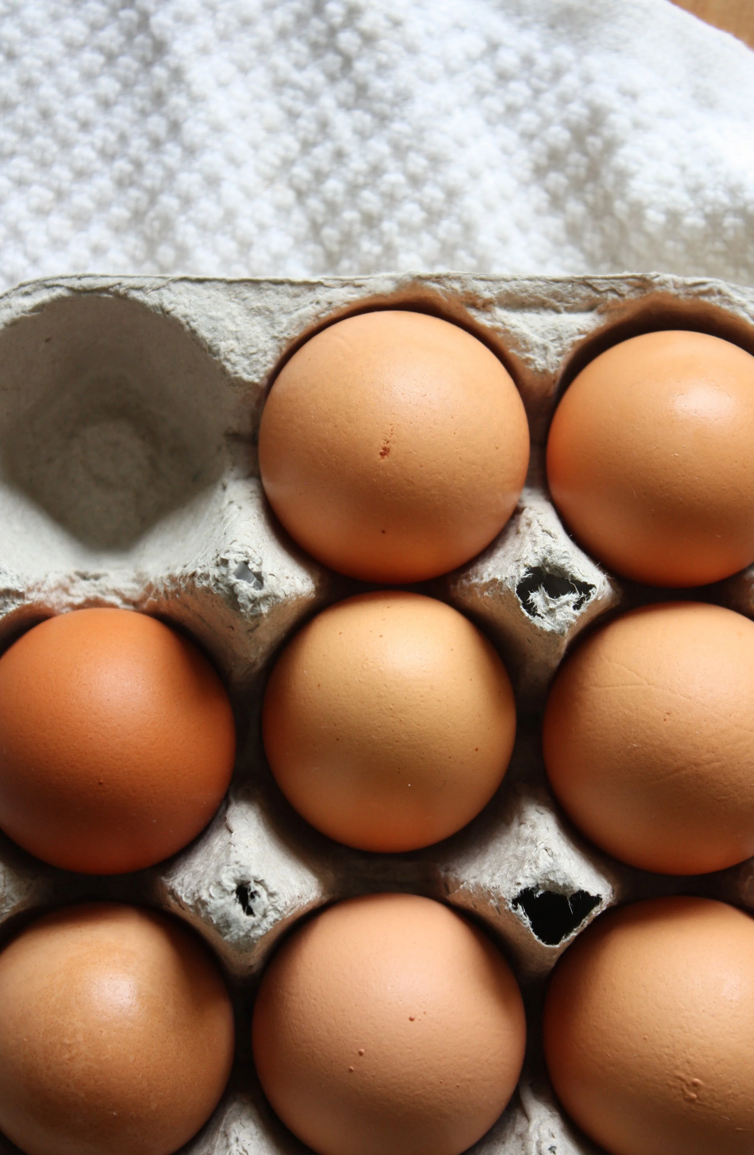 God Loves Scrambled Eggs