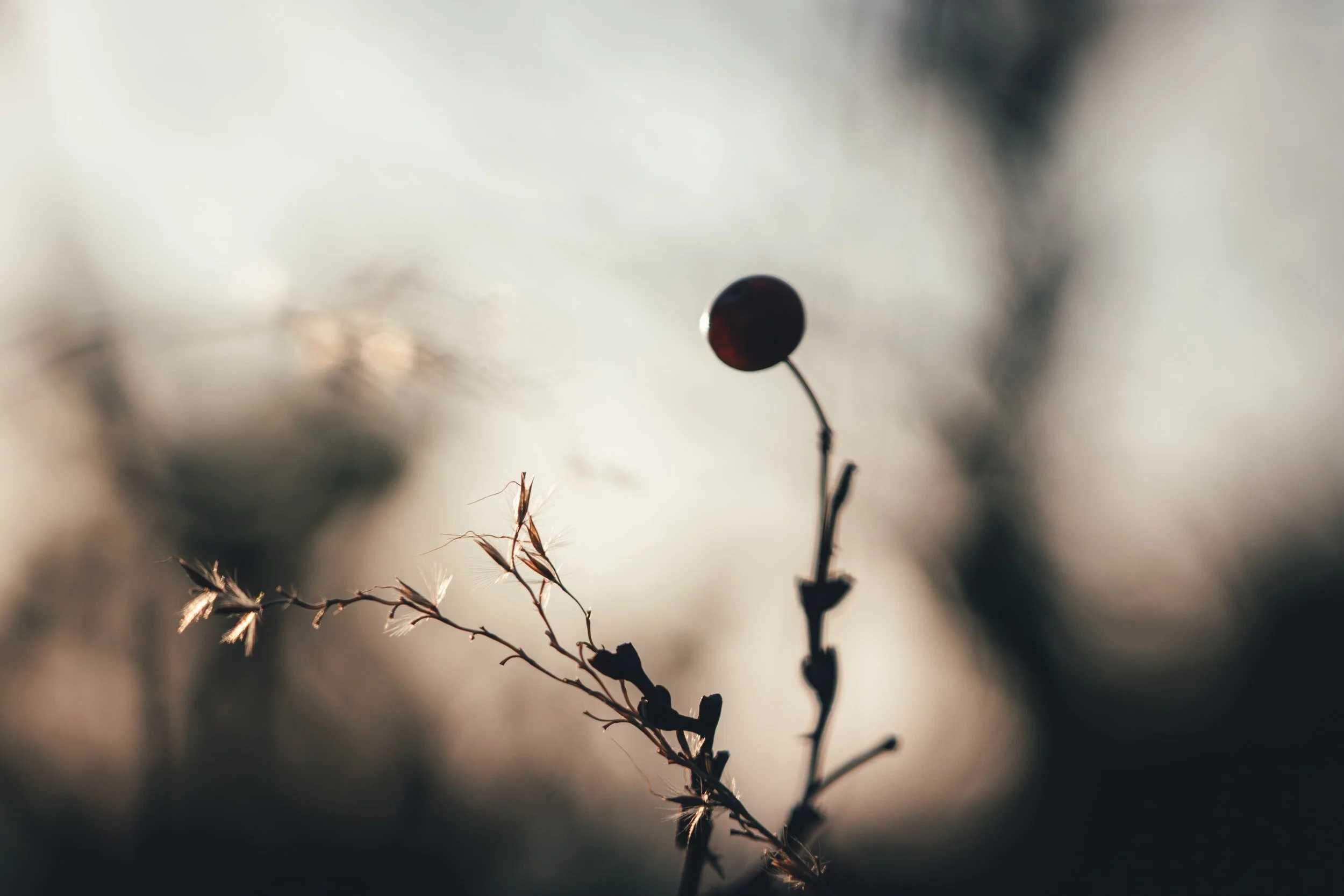 You Are God’s Seed