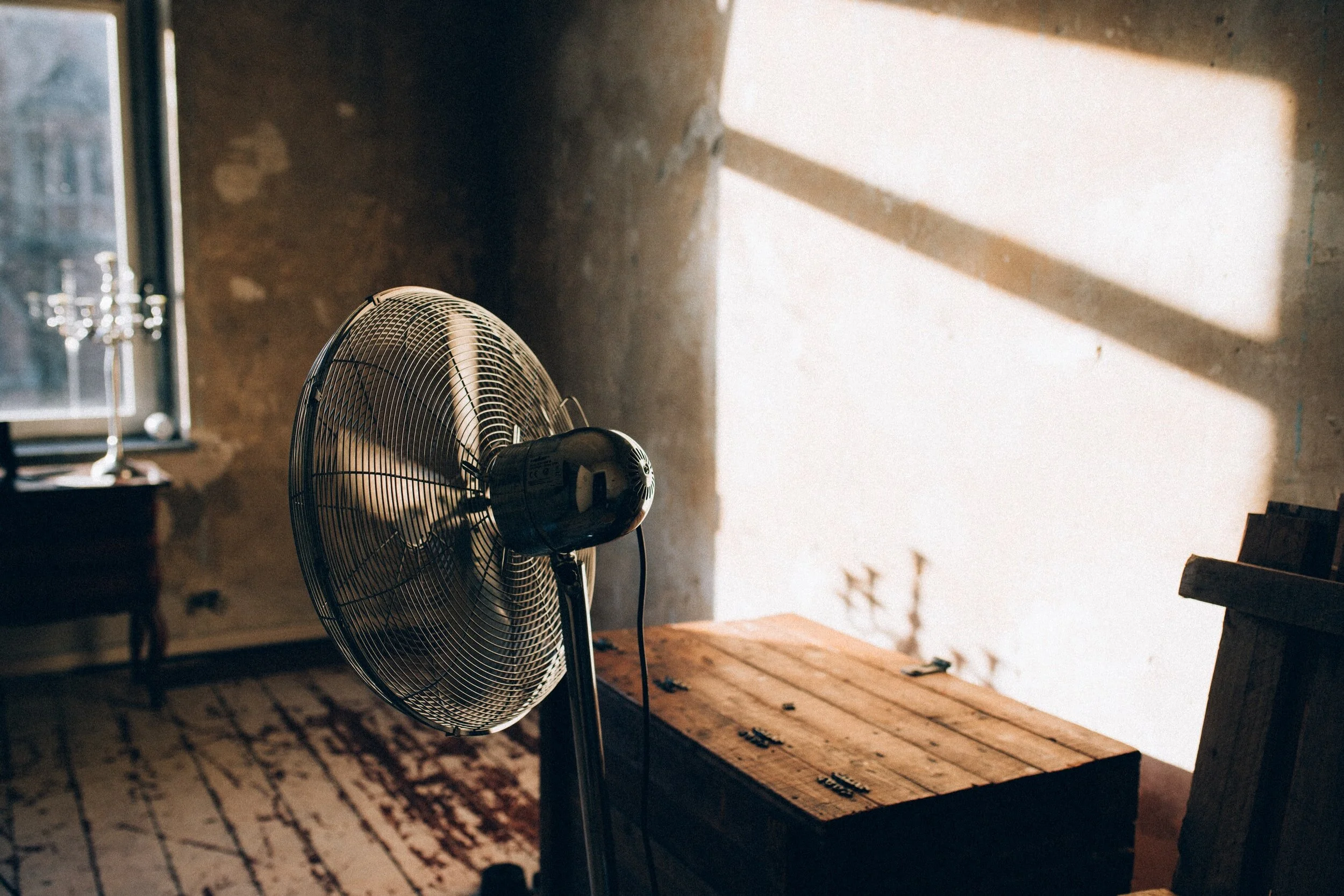 When The Cat Hits The Fan