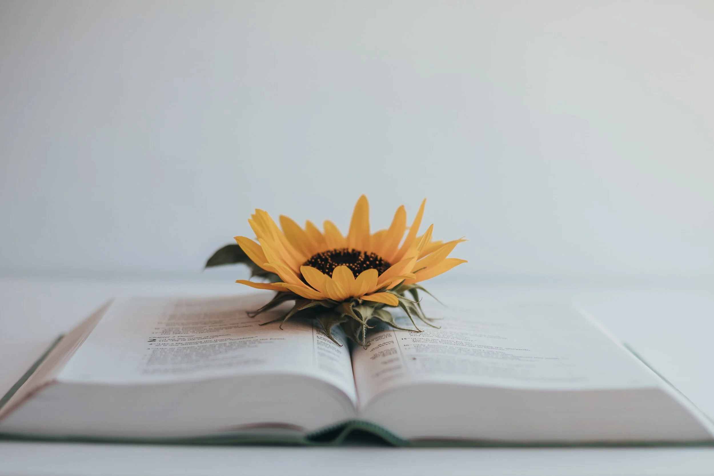 Unforced Rhythms Of Grace