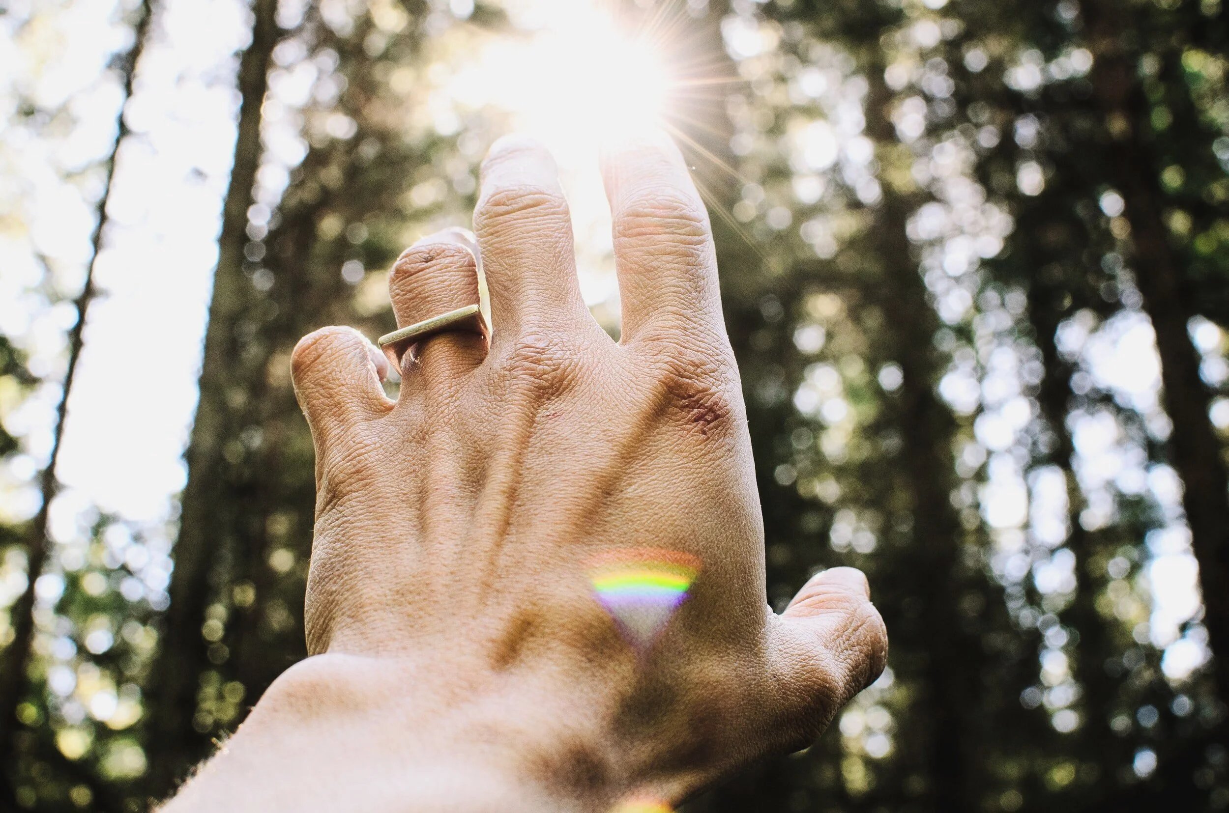 Jesus Heals The Blind Man