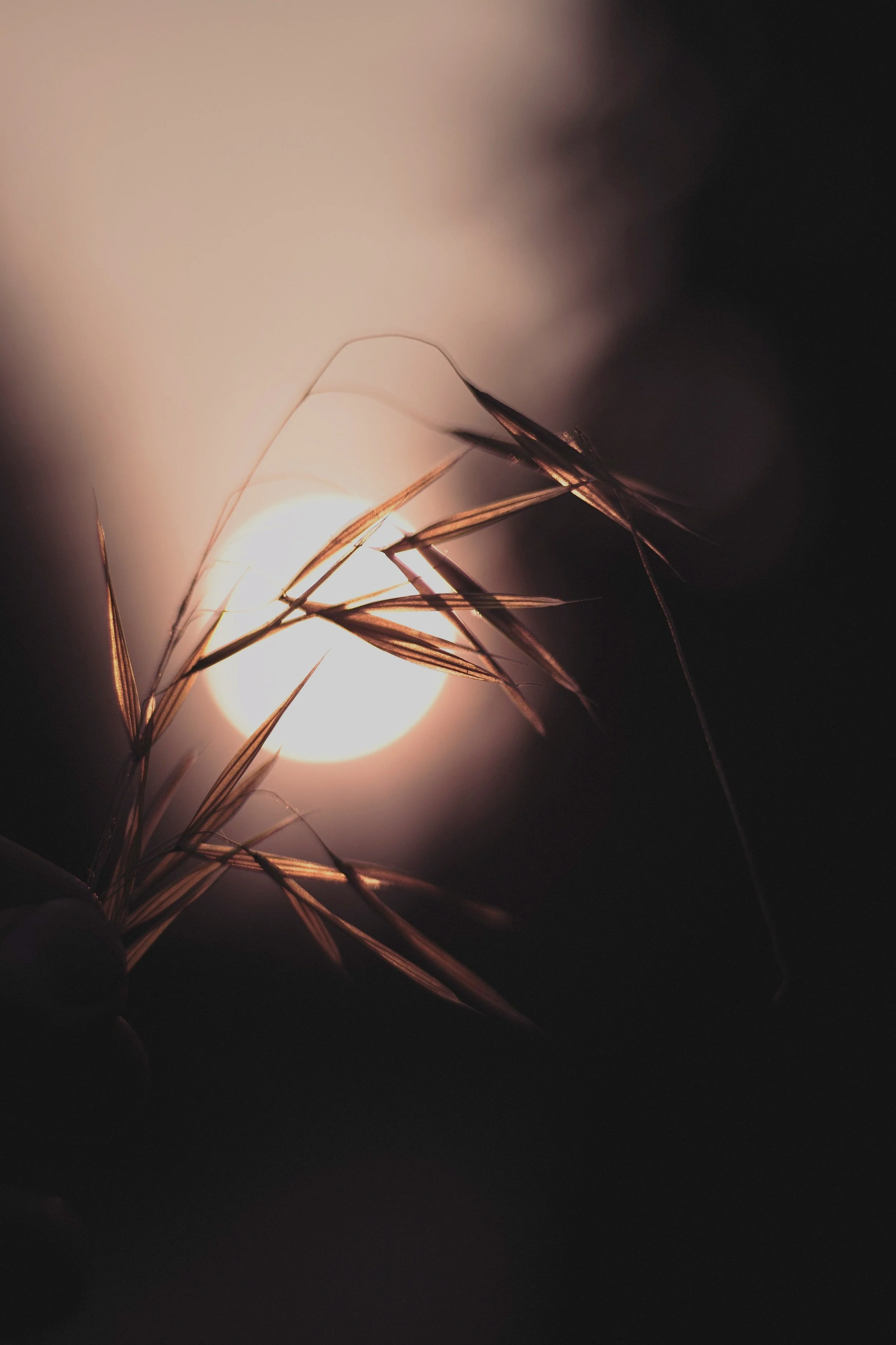 Book Club: Presence