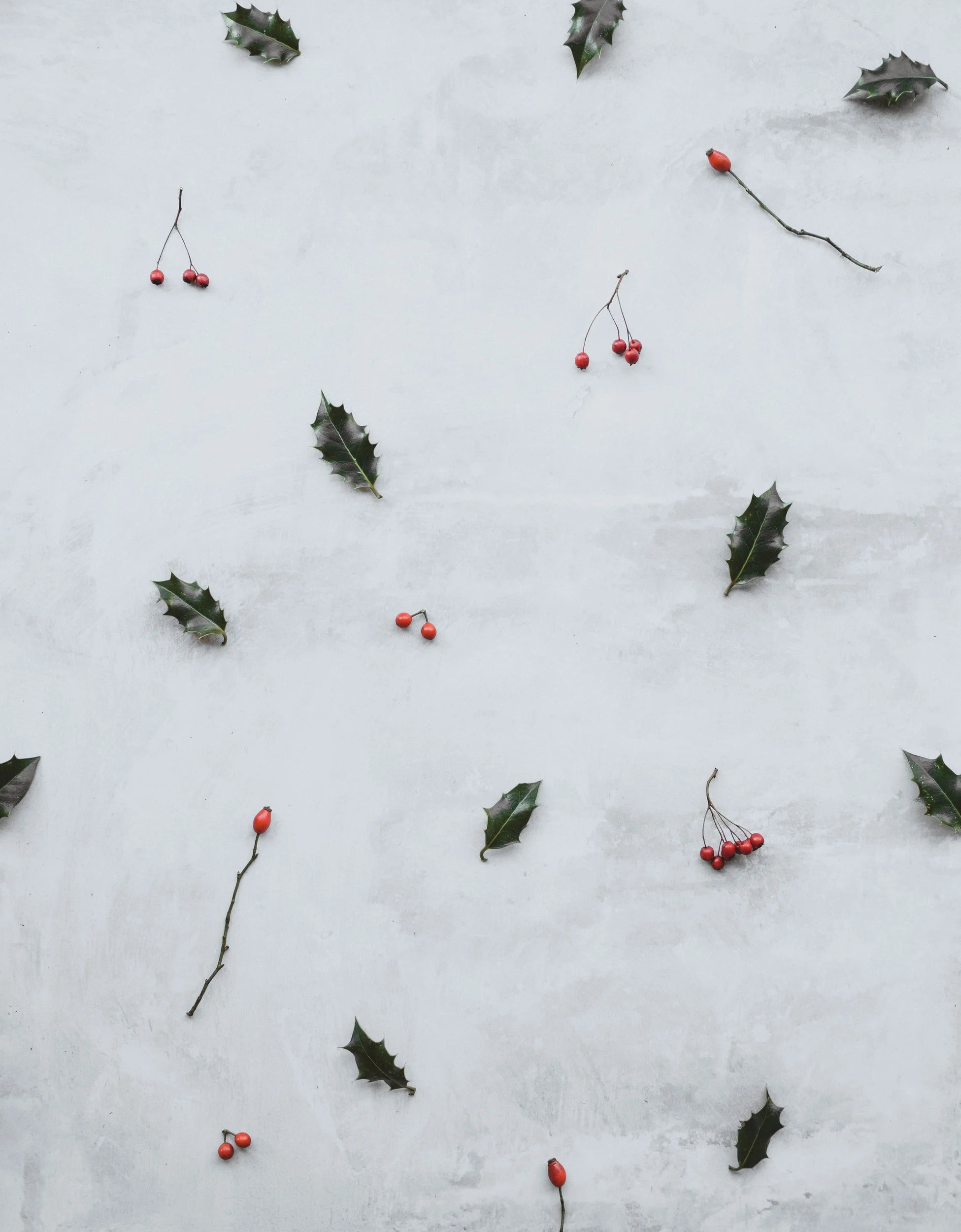 Step Into Christmas