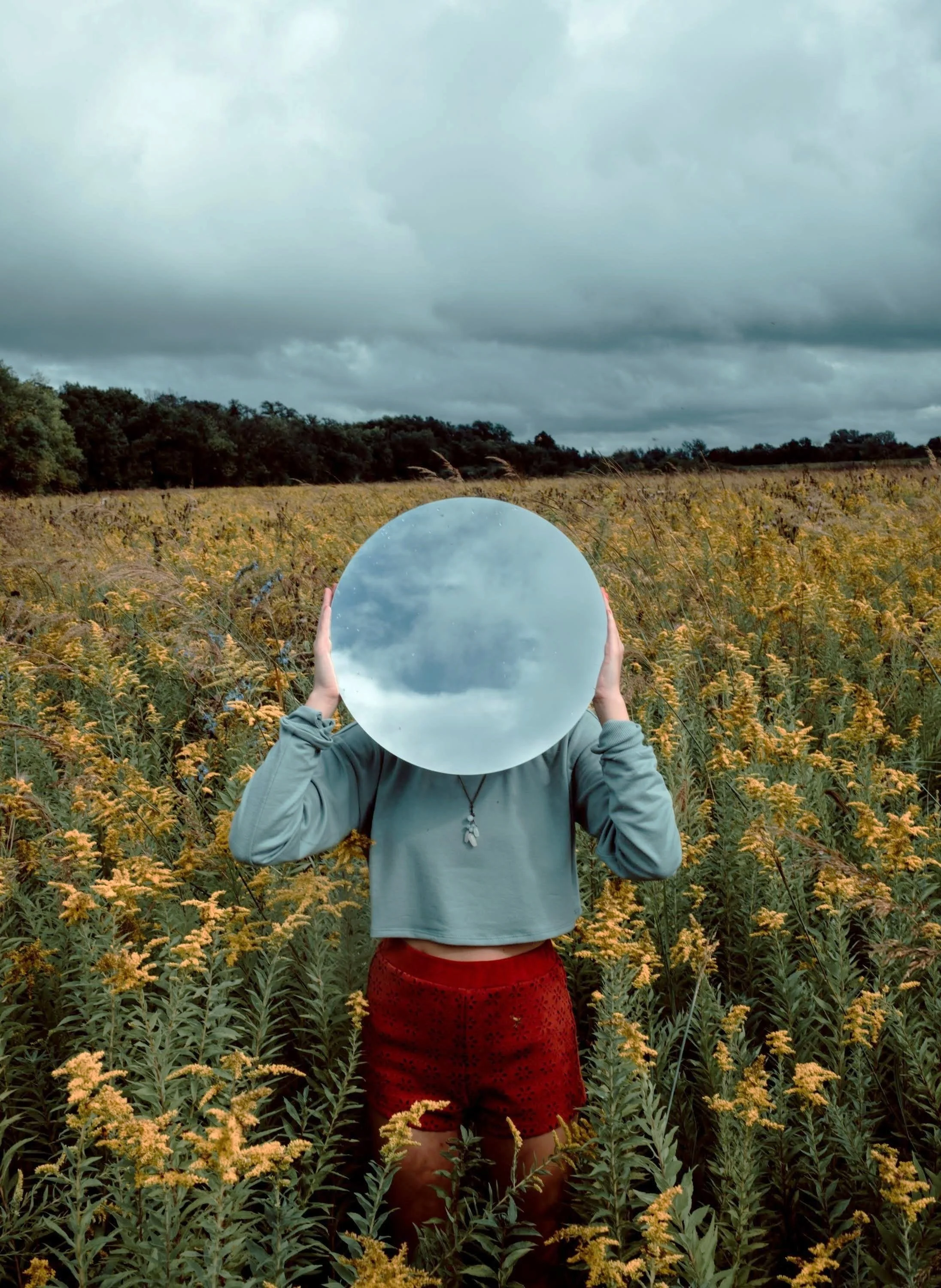 Seeing The Invisible: Many Mirrors, One Image