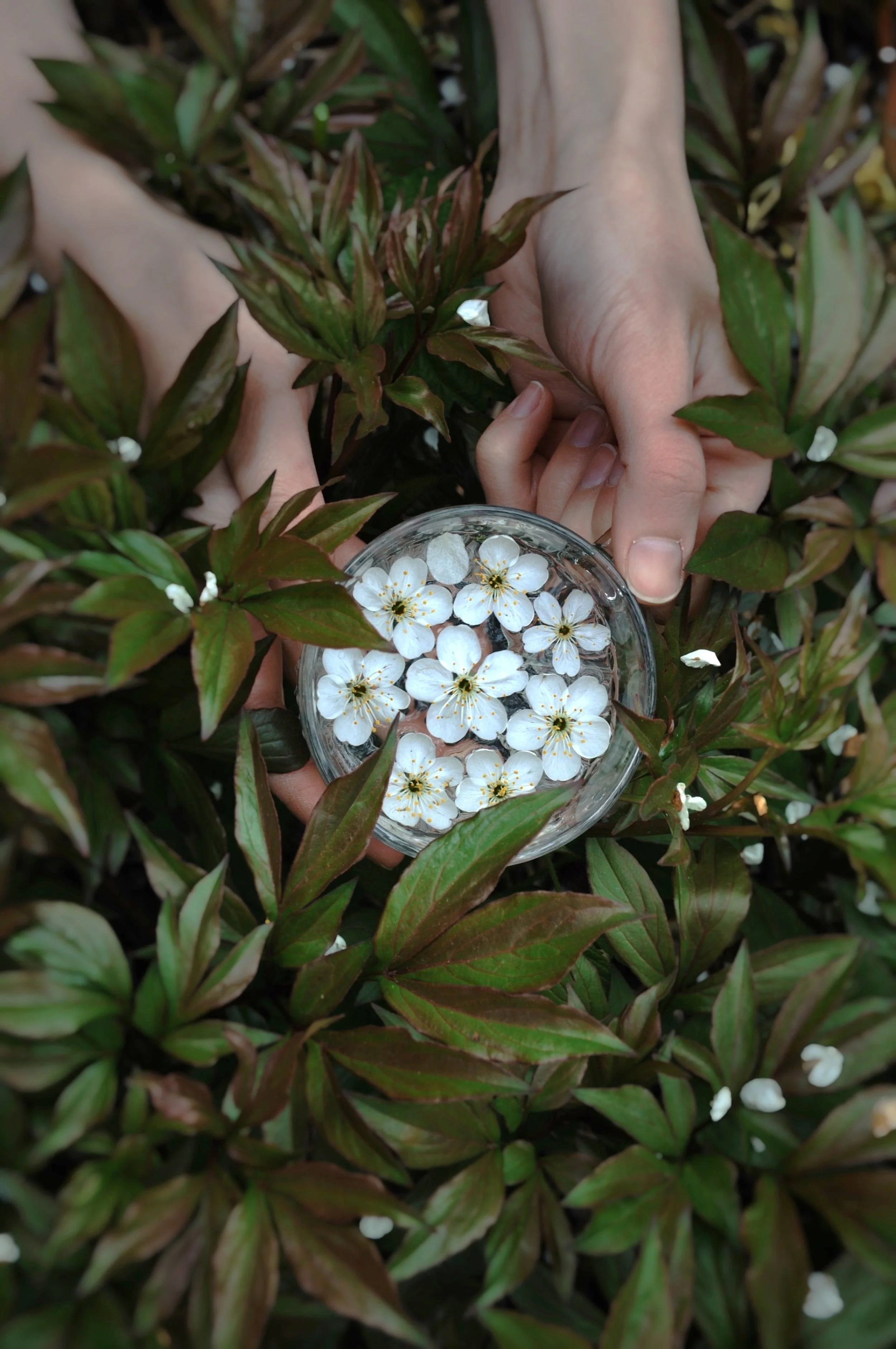 How Is This A Story Of Hope?