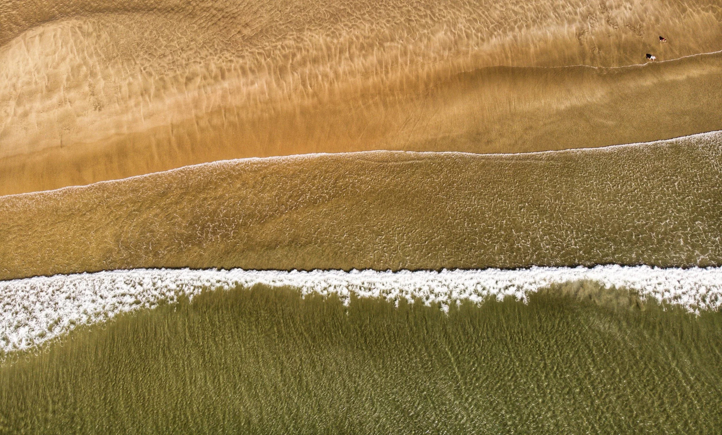 Uniquely Created By God