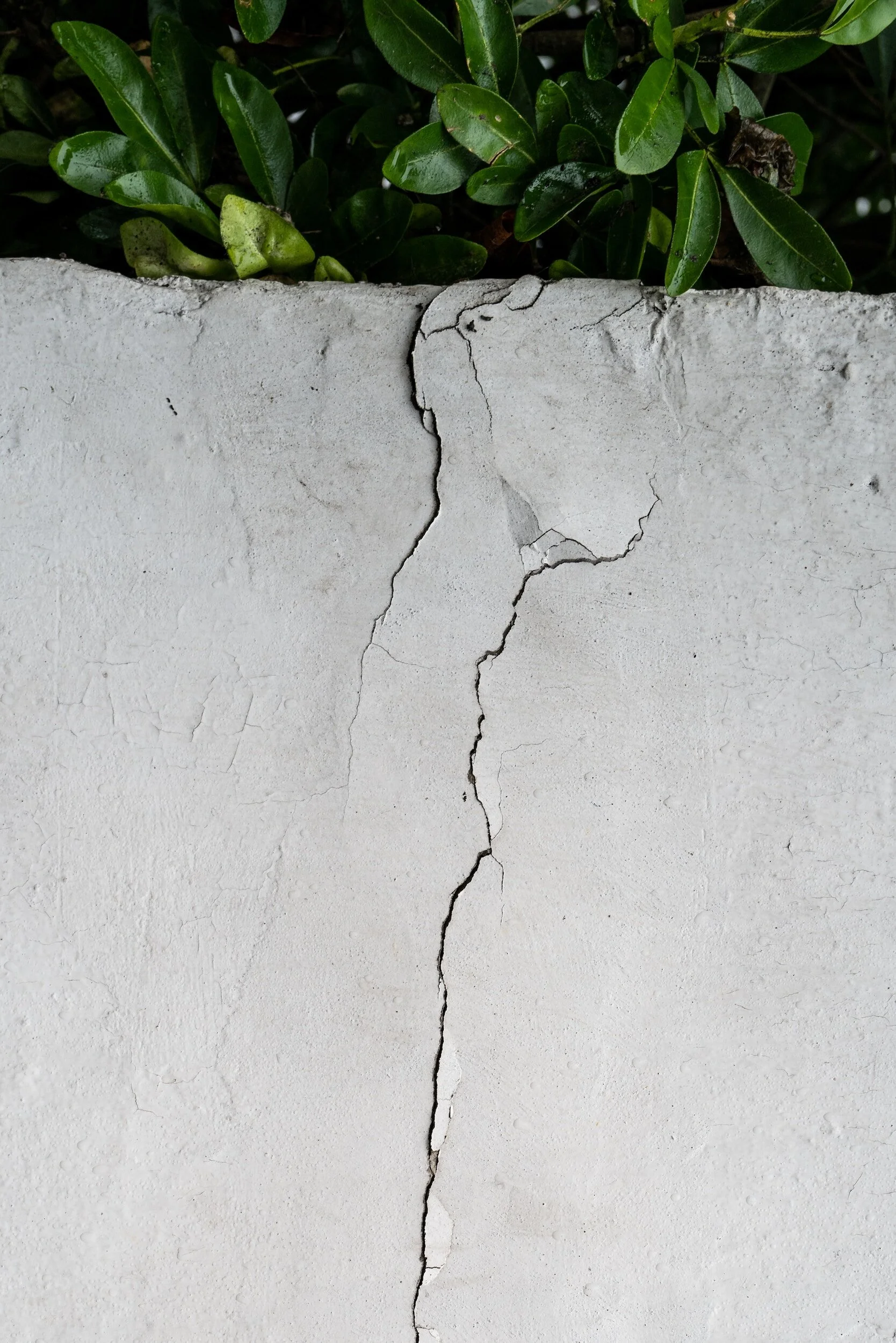 Comparison Creeps In