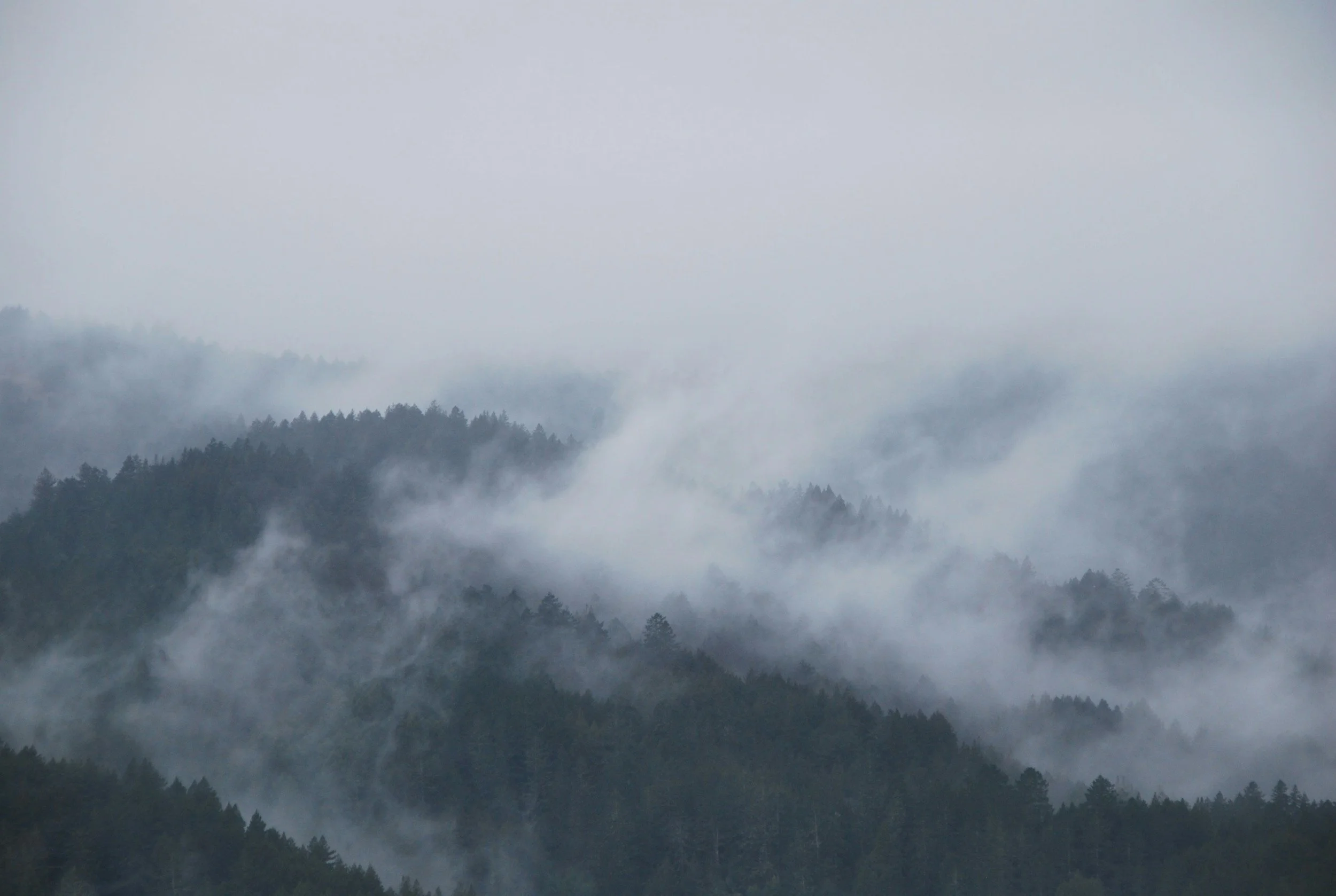 In All Circumstances