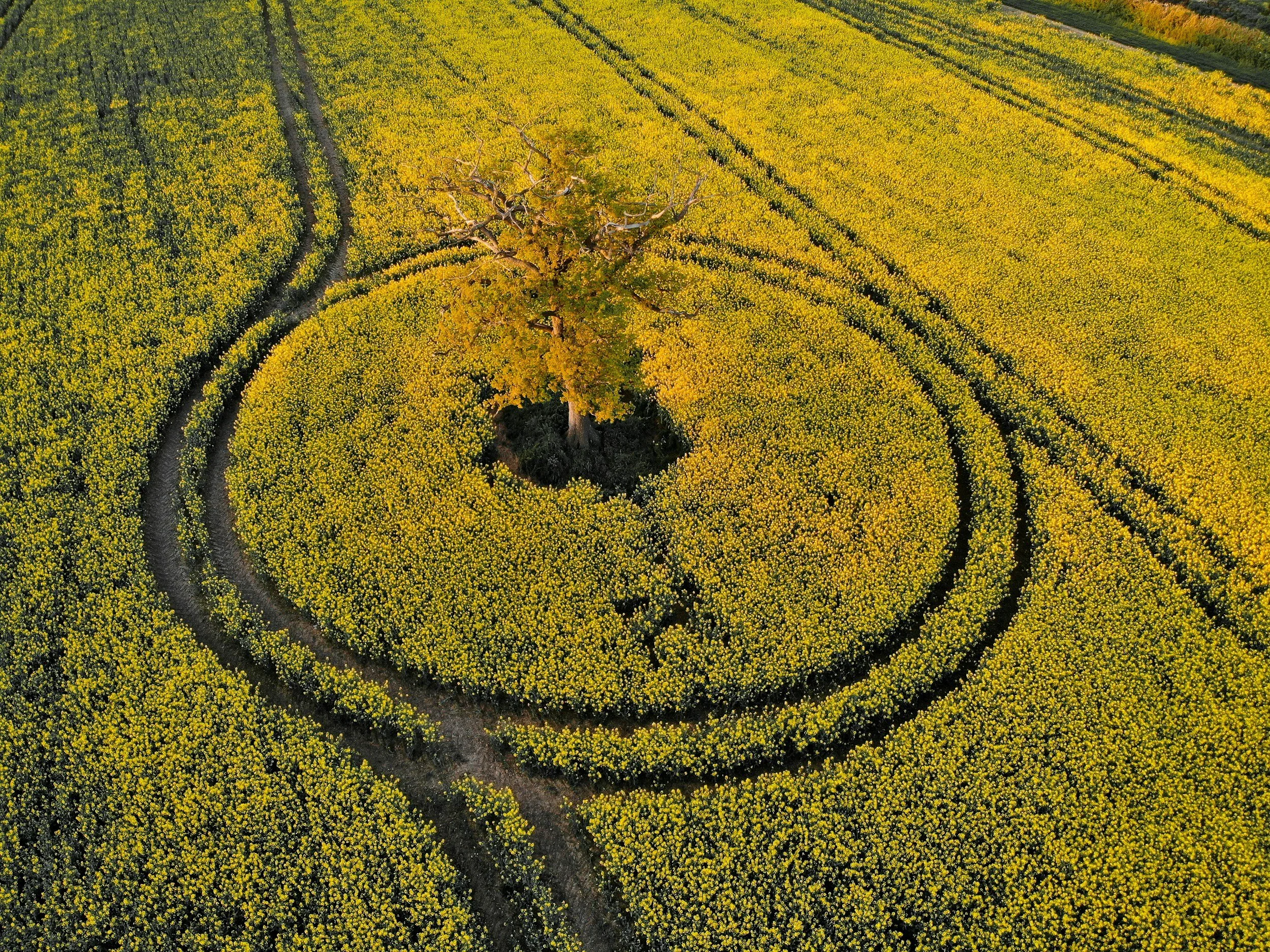 No More Prima Donnas