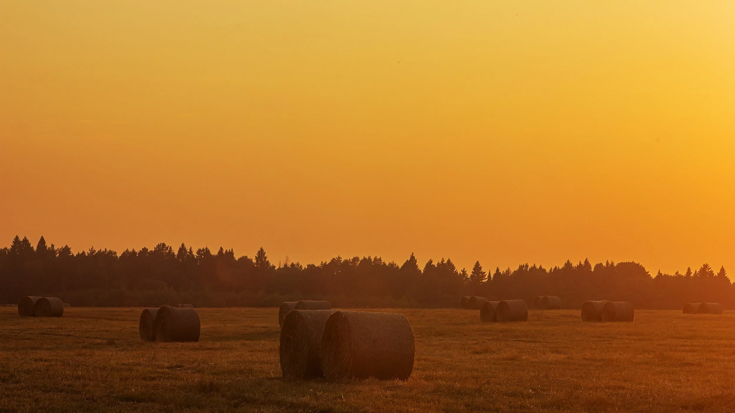 1 Corinthians 15:1–11