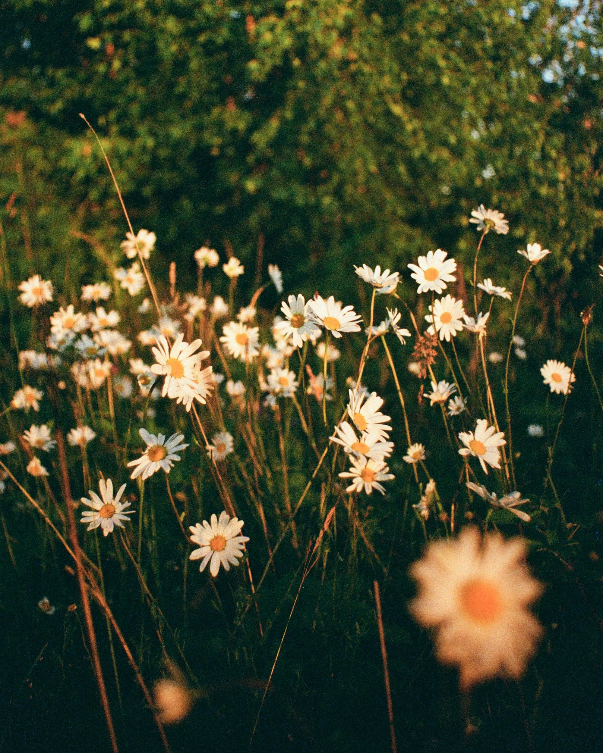 Luke 9:1–17