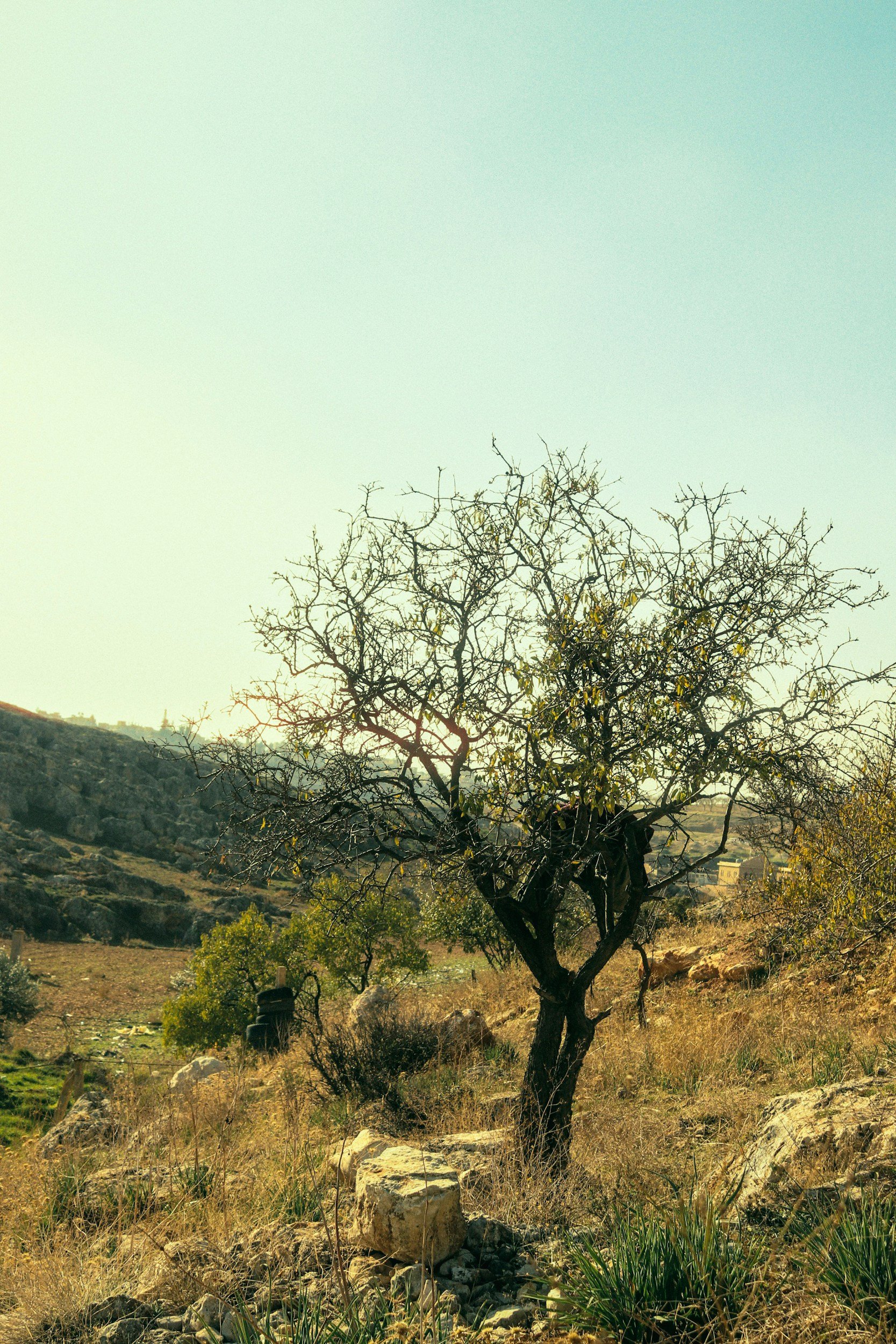 Luke 12:32–40