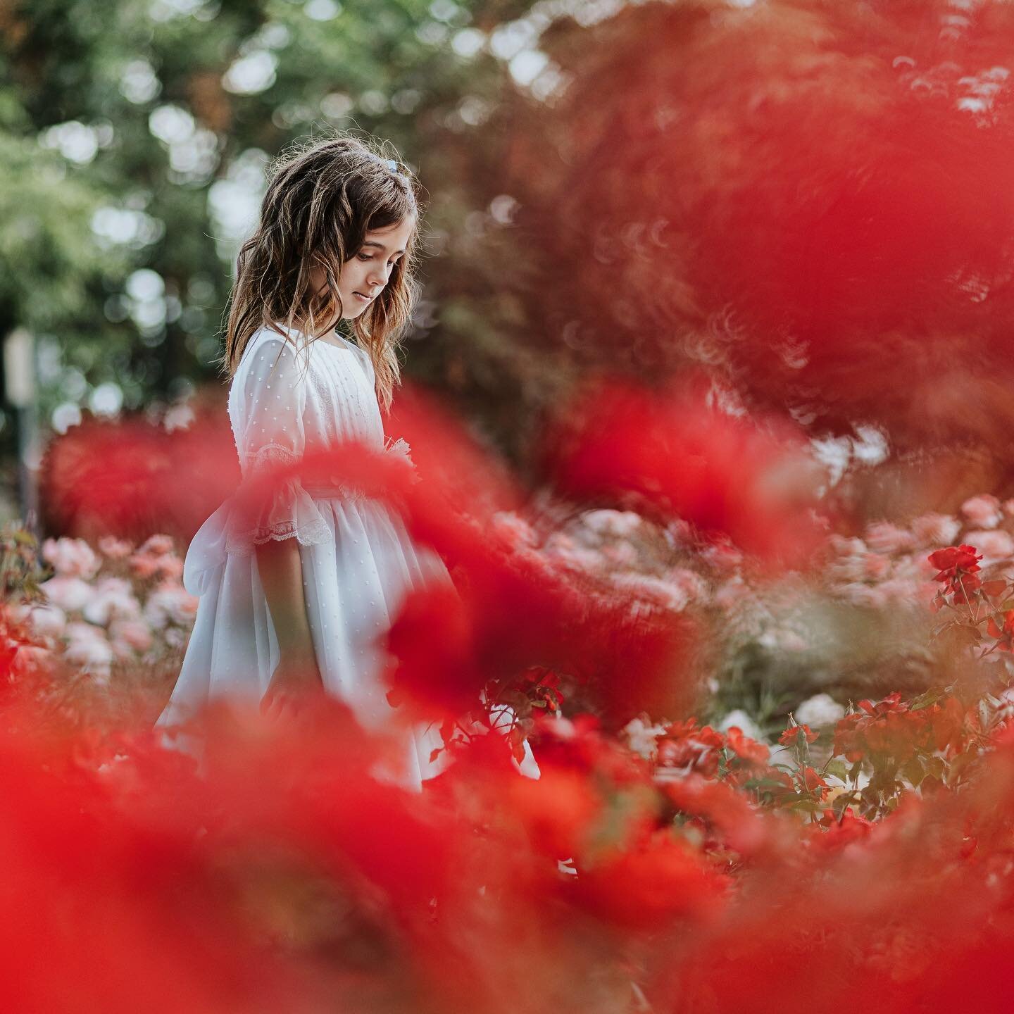 Es que es #primavera y est&aacute; todo lleno de colores
#valencia #spring #red #comunionesvalencia #kidsphotography #dreamy