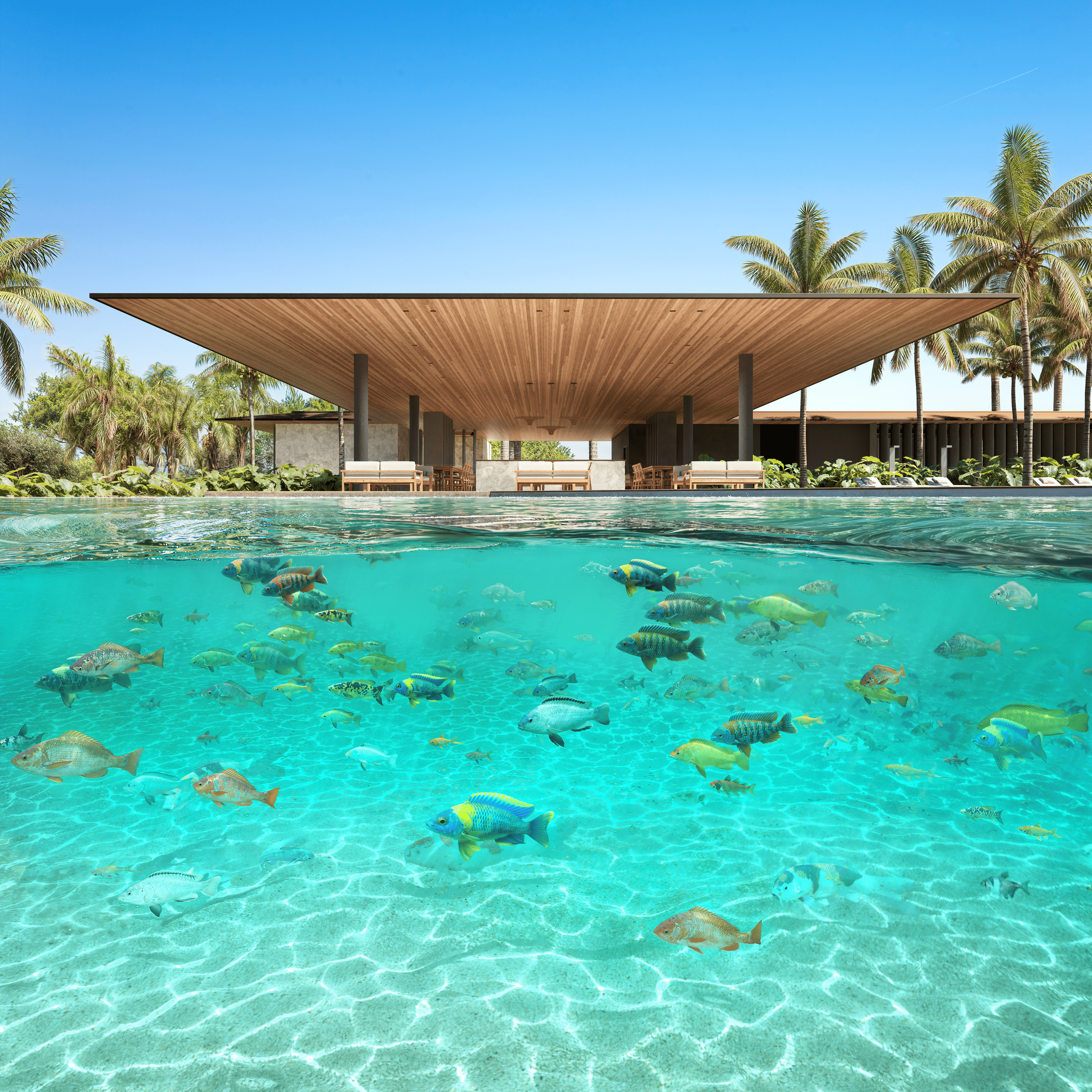 A criação da piscina praia do Soul Corpal Living Resort