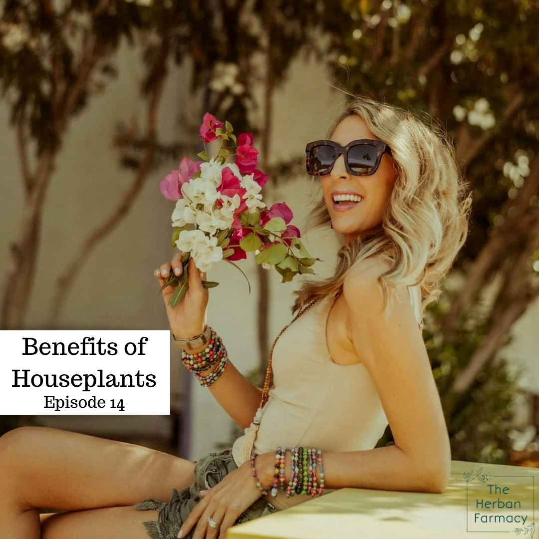 14: Benefits of Houseplants episode artwork