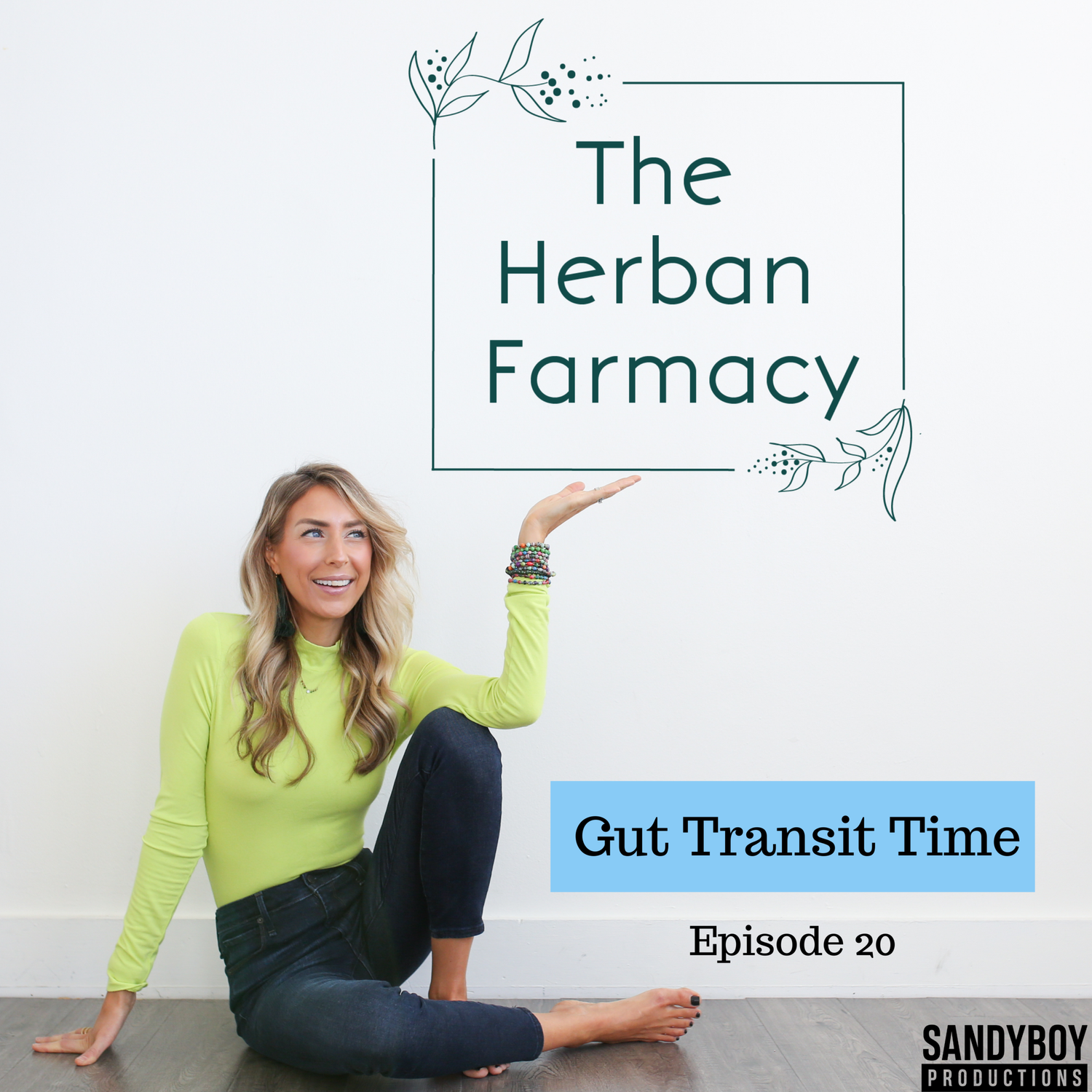20: Gut Transit Time episode artwork