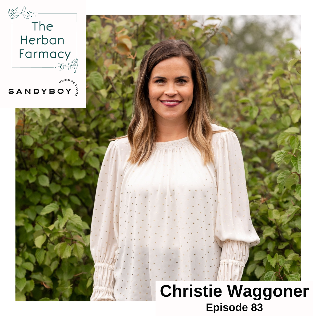 Episode 83: Using your voice as a mom and stepping into purpose with Christie Waggoner episode artwork