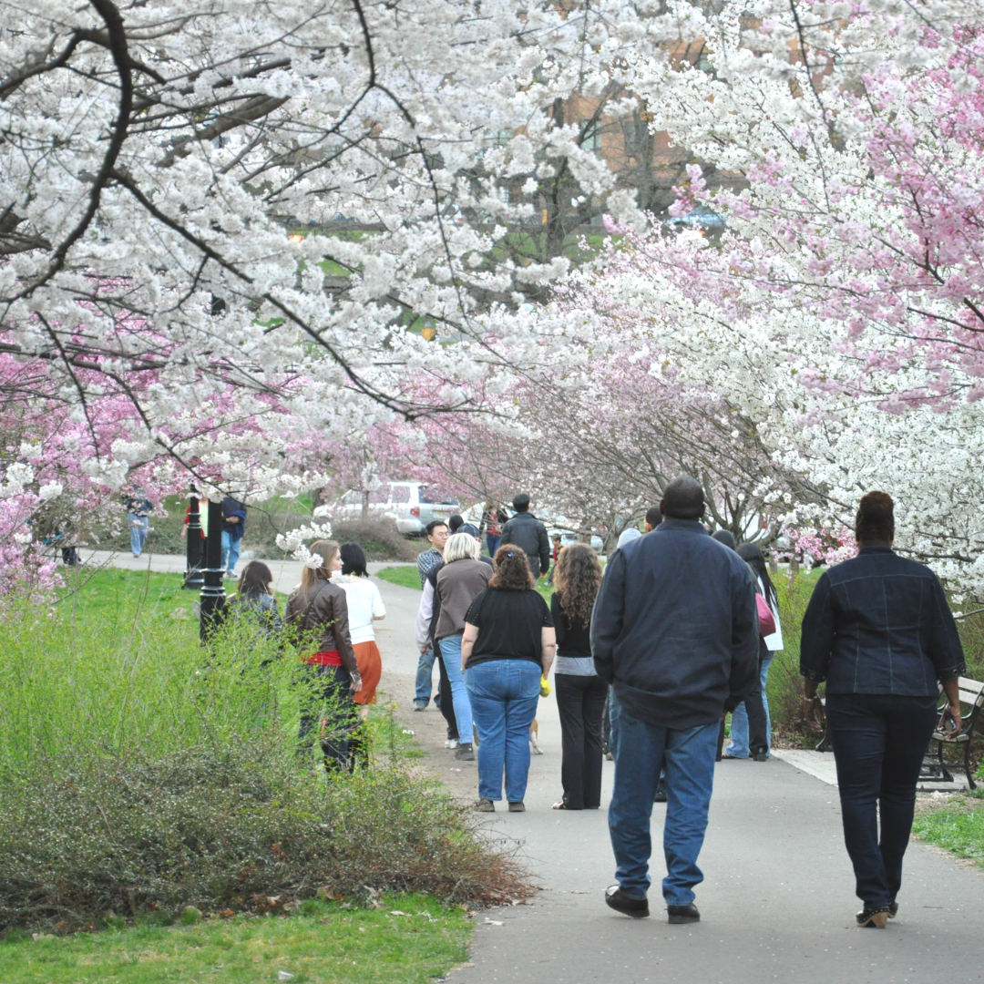 Spring In Nj Things to do in the Spring in New Jersey β Cristina