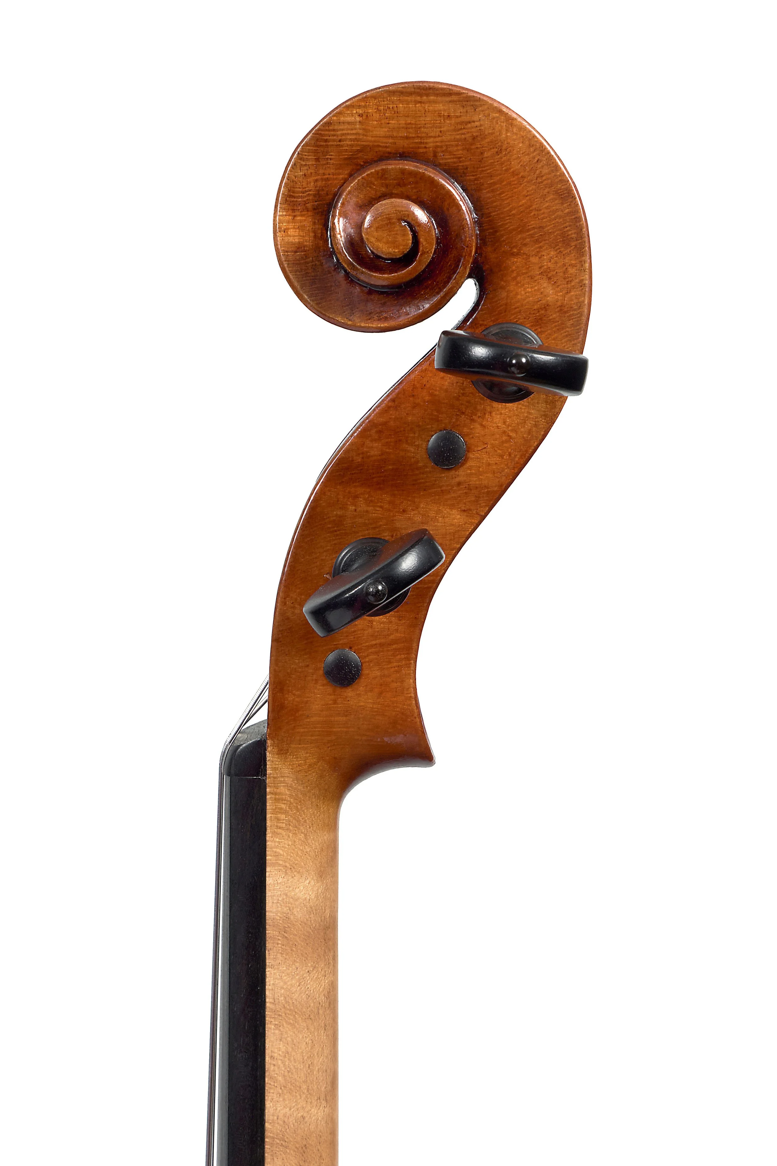 LC2142 Olivella Violin Scroll.jpg