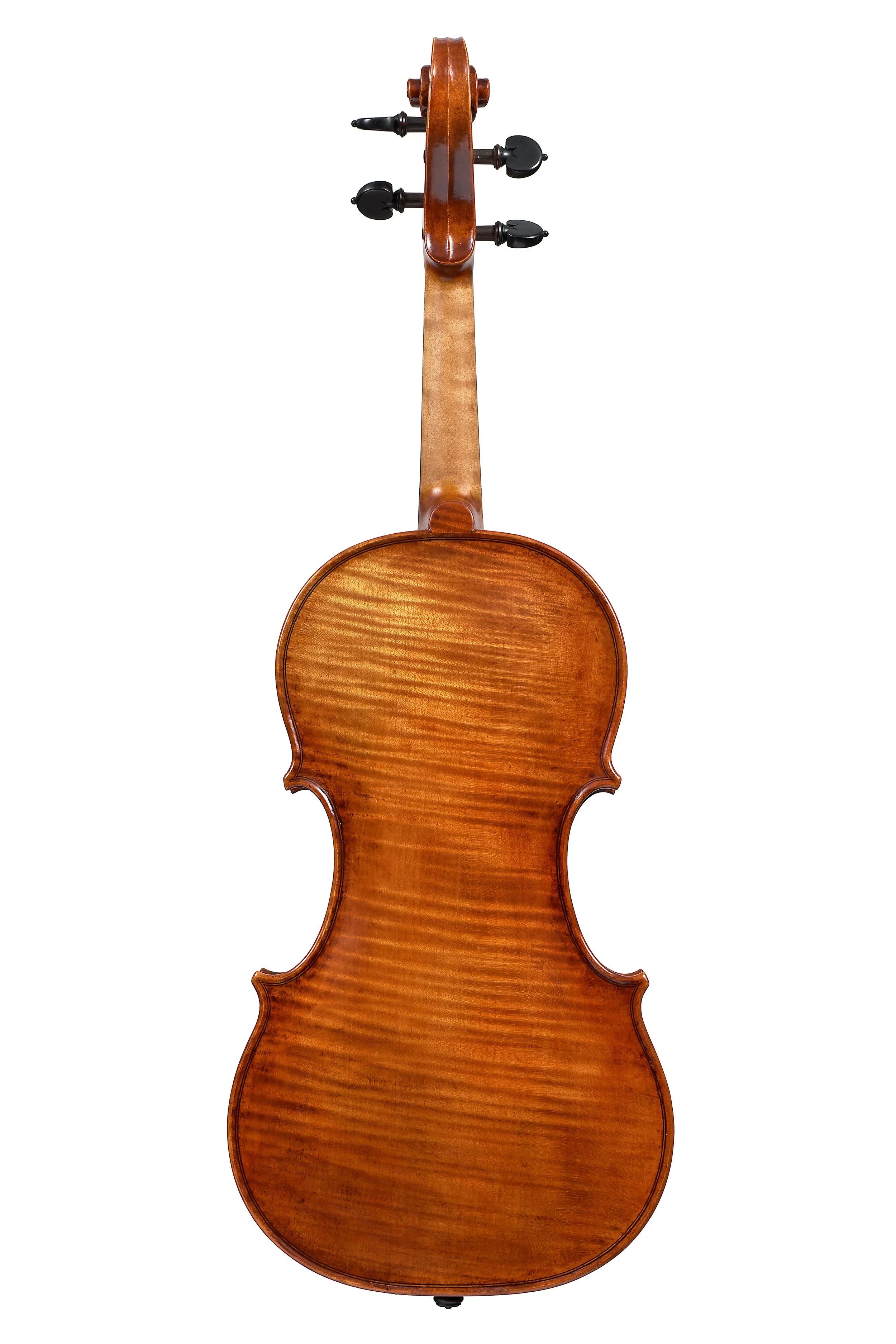 LC2142 Olivella Violin Back.jpg