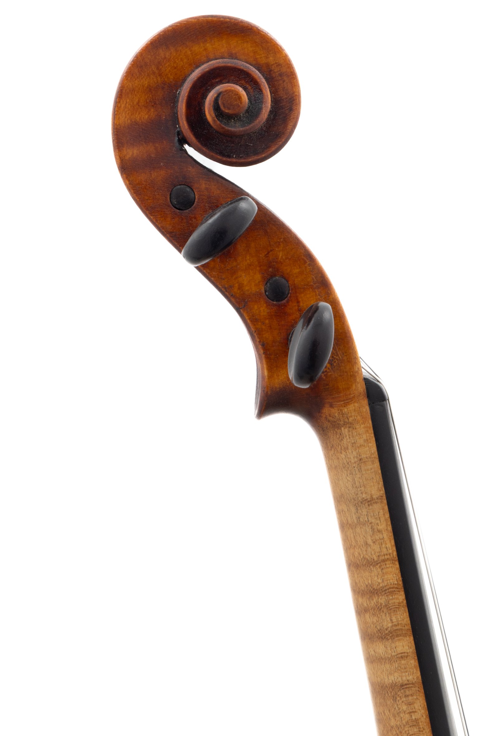 English Violin by James Cole, Manchester 1886 — Stringers of London