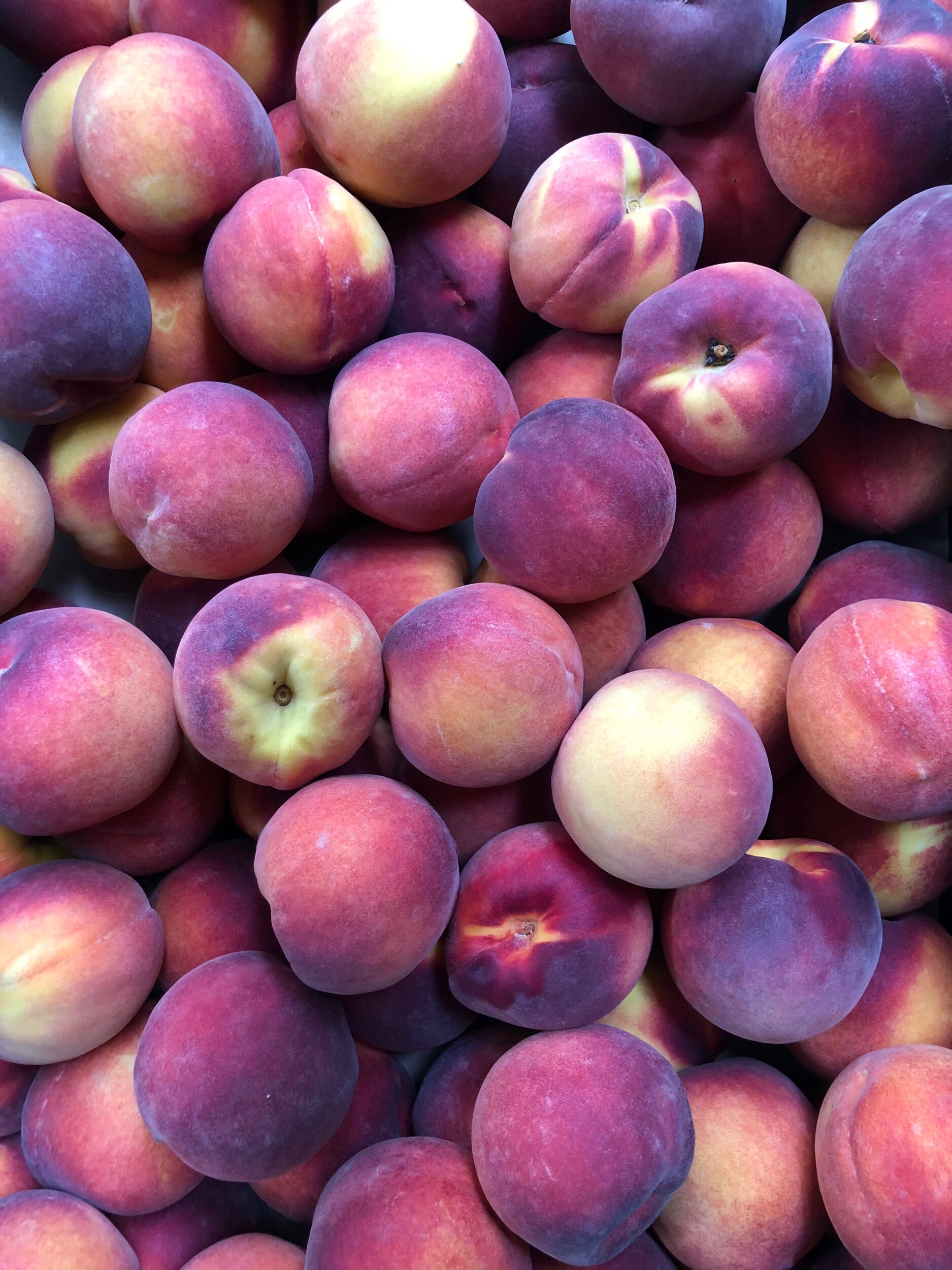 yellow and white peaches delivered weekly in our local fruit and veg produce boxes delivered to Bunbury, Busselton, Vasse, Dunsborough, Margaret River and Cowaramup 