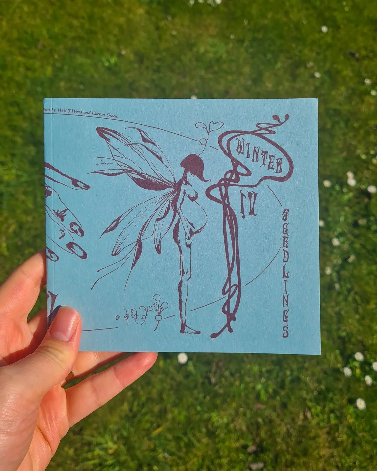 🌺My copy of Seedlings IV: Winter arrived today, featuring my poem &quot;Зајди зајди&quot; which I wrote during my @stanzapoetry and @edmorgantrust Residency.

🌺Seedlings is a beautiful hand-printed and hand-bound magazine filled with so much inspir
