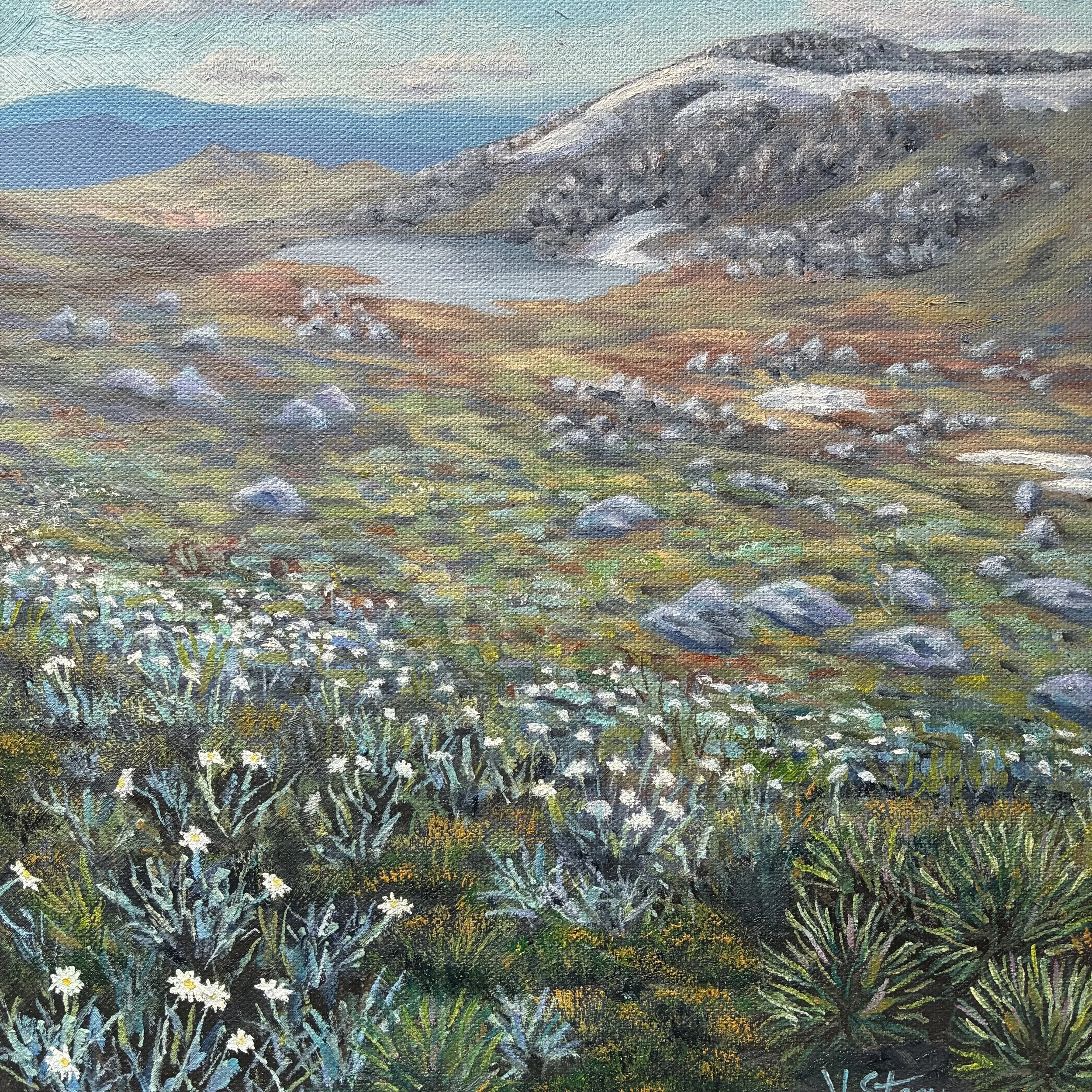 Vanessa Stacy, Summer in the high country.jpg