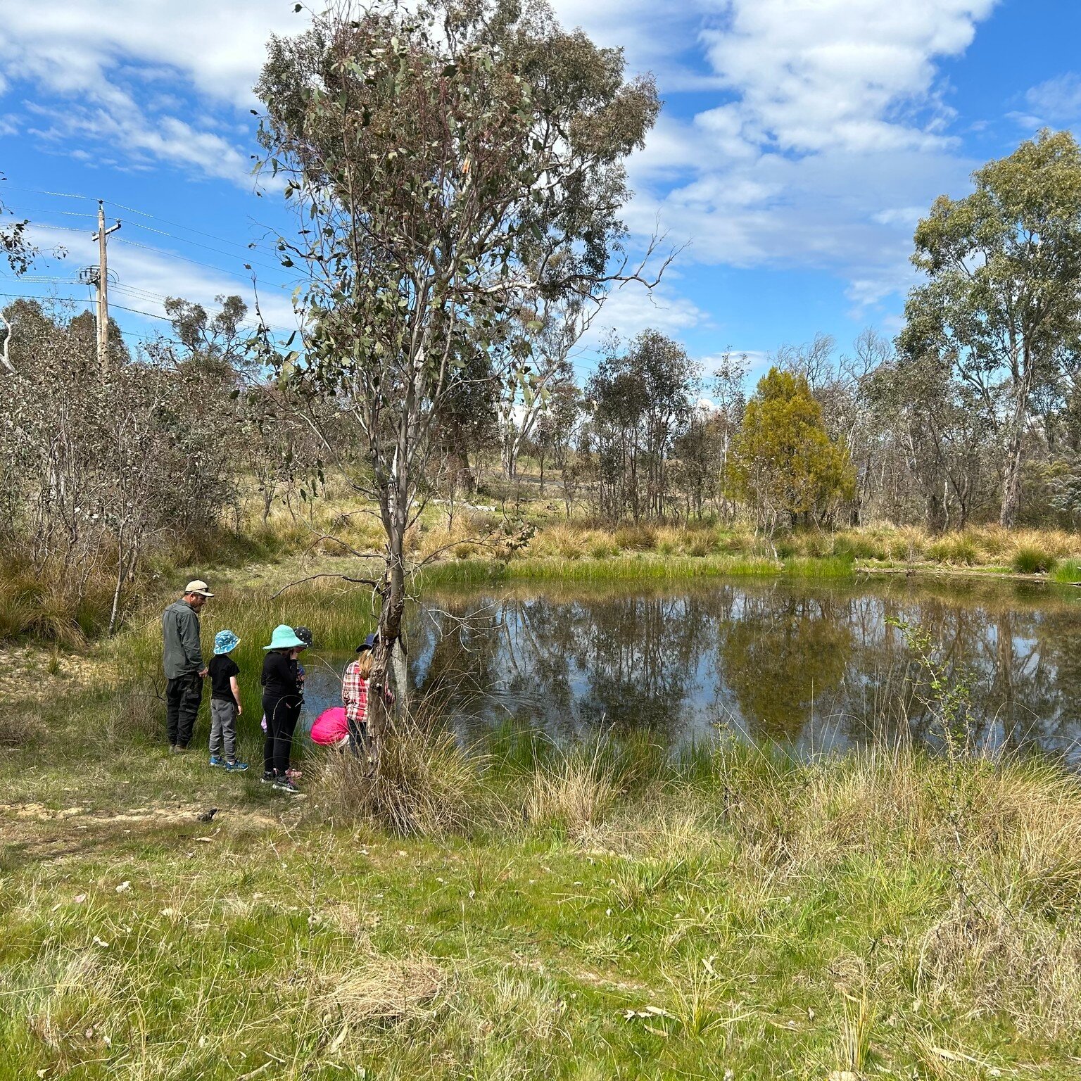 🧑&zwj;🎨 April School Holiday Program

We're teaming up with our amazing friends at the Ginninderry Conservation Trust to deliver a fantastic range of workshops for young people this autumn break.

Take your pick from printmaking, ceramics, sculptur