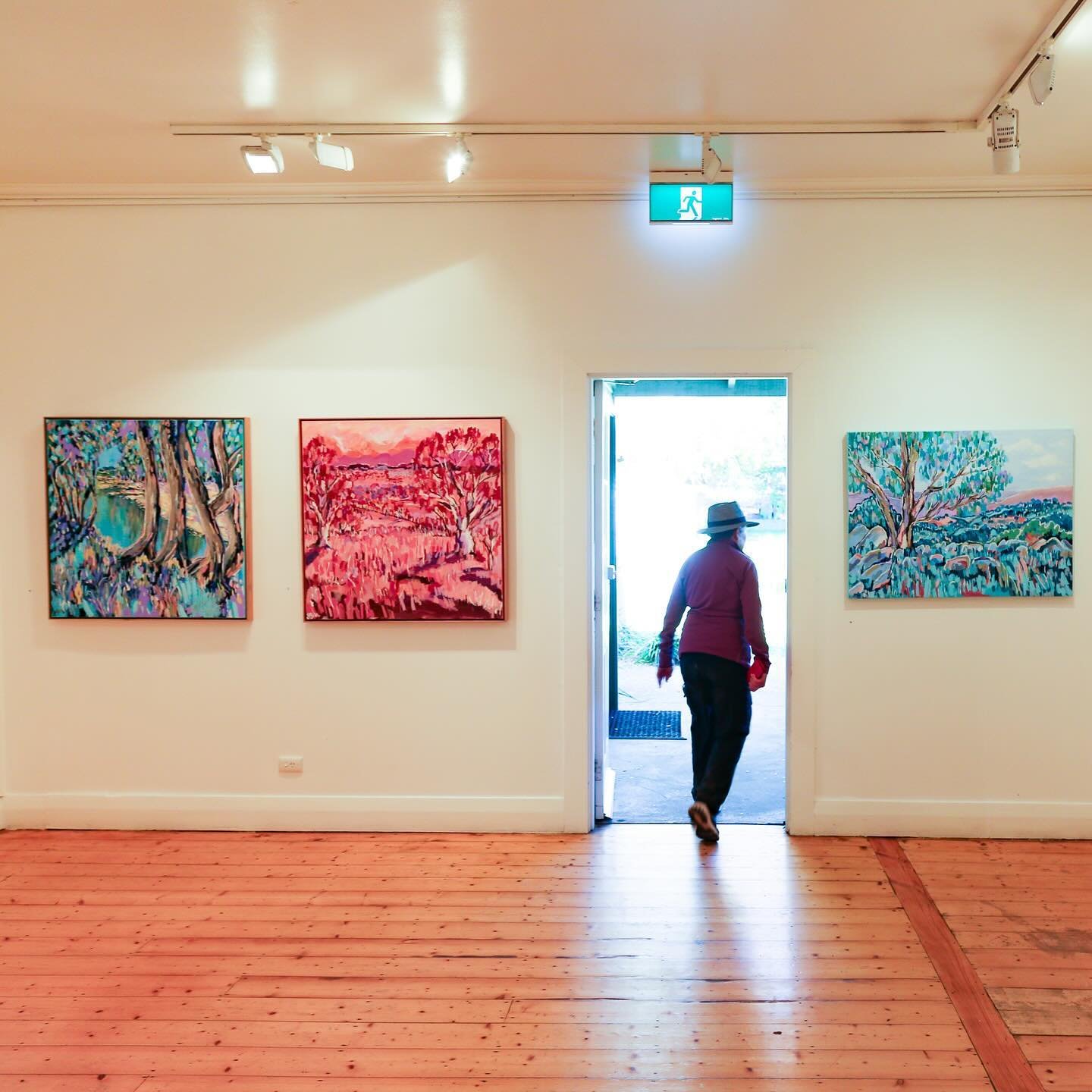 Don&rsquo;t miss tonight&rsquo;s official opening of our new exhibitions:

Sophie Ryan, Golden hour - Homestead Gallery 1
Joan McKay, Touched by our nature - Homestead Gallery 2

Please join us from 5 pm as guest speaker @barbierobinson56 opens both 