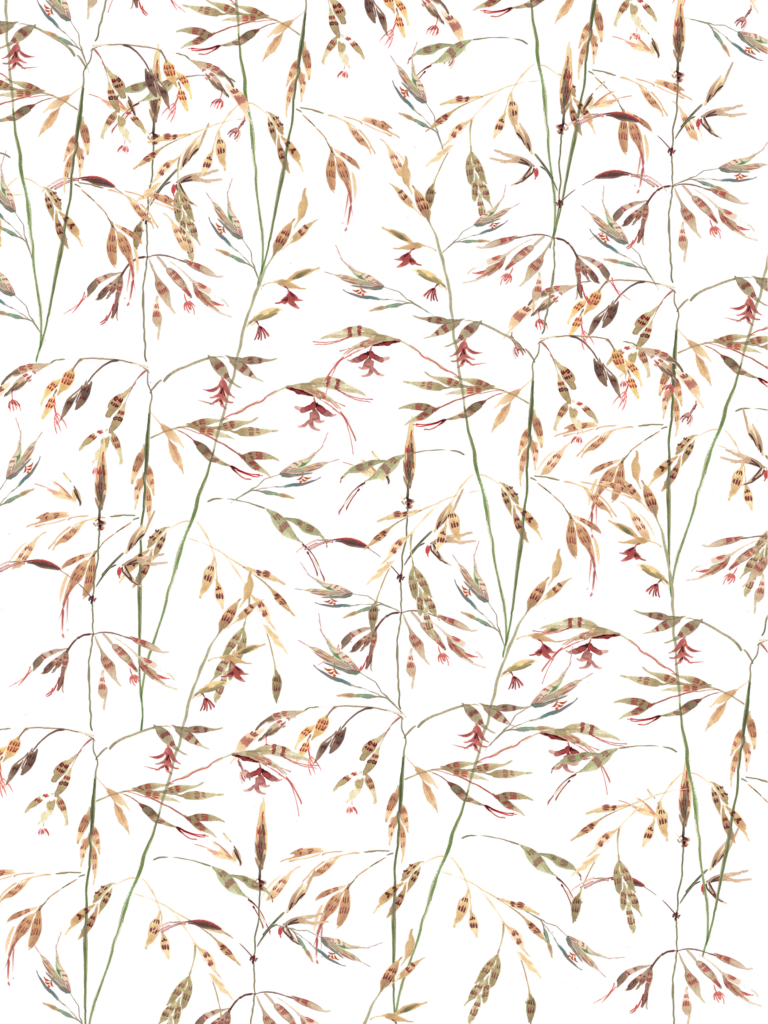 Strathnairn Kangaroo Grass Repeat.png