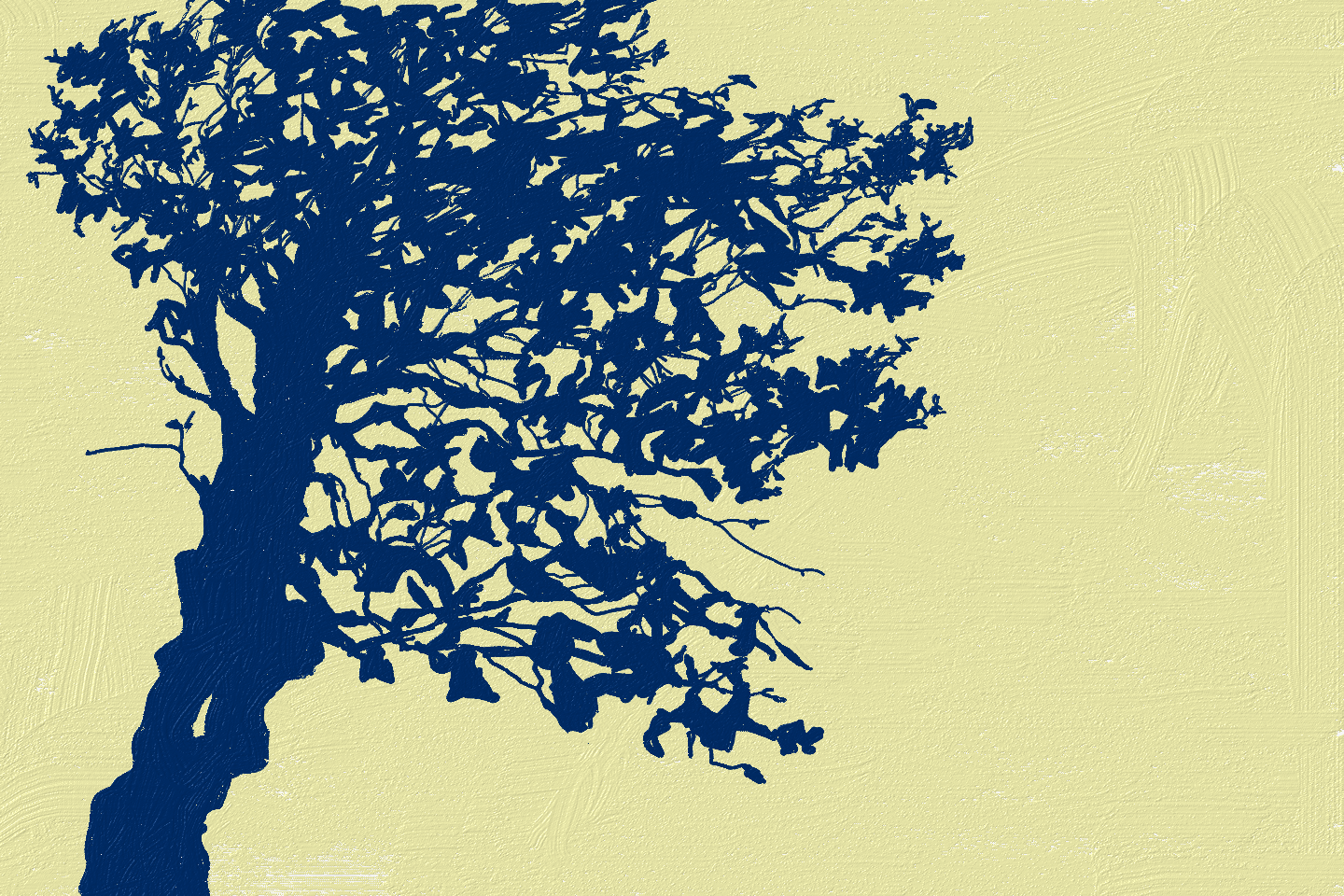 Catherine Kingham, Light Journeys