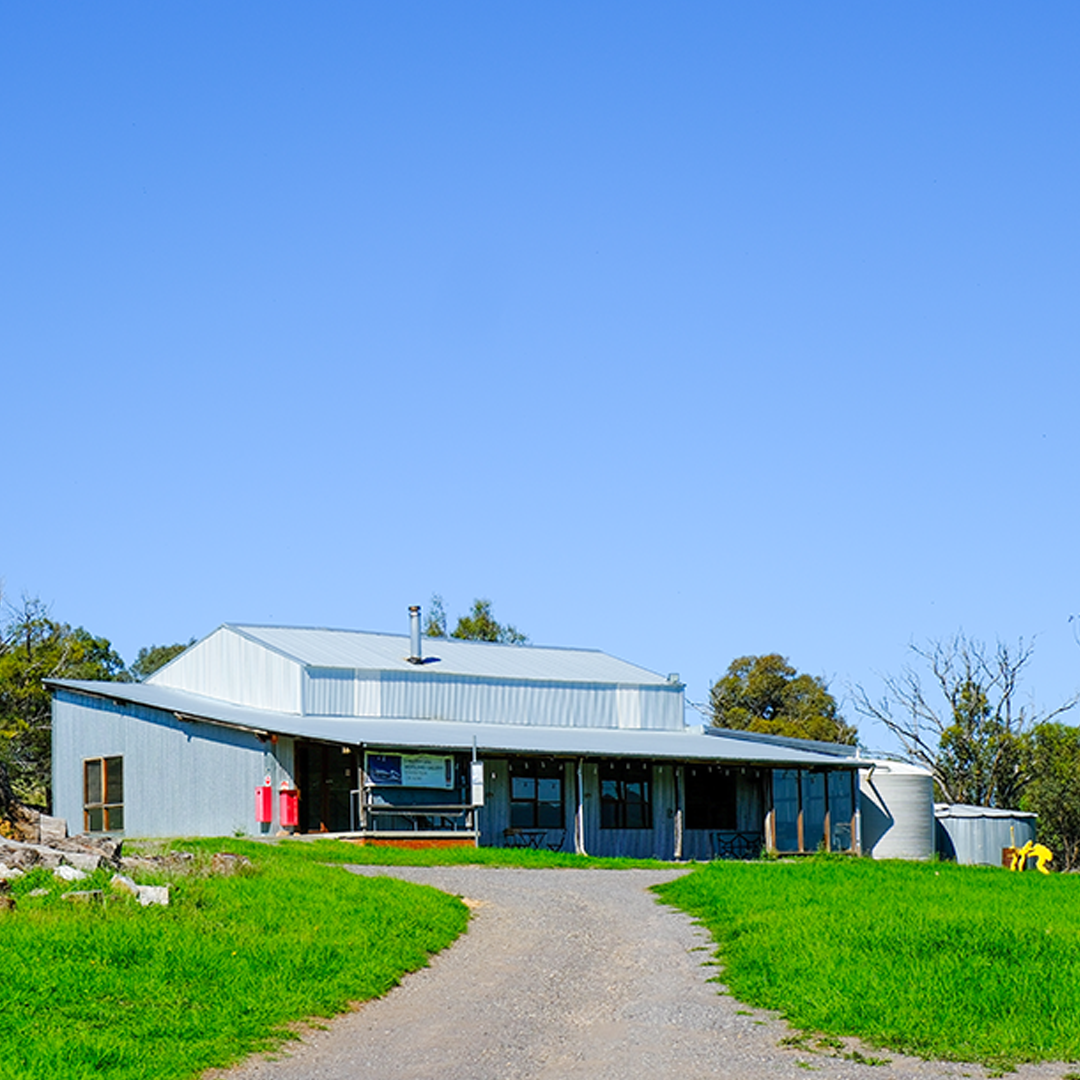Corrugaged iron shearing shed building on the top of a hill covered in green grass