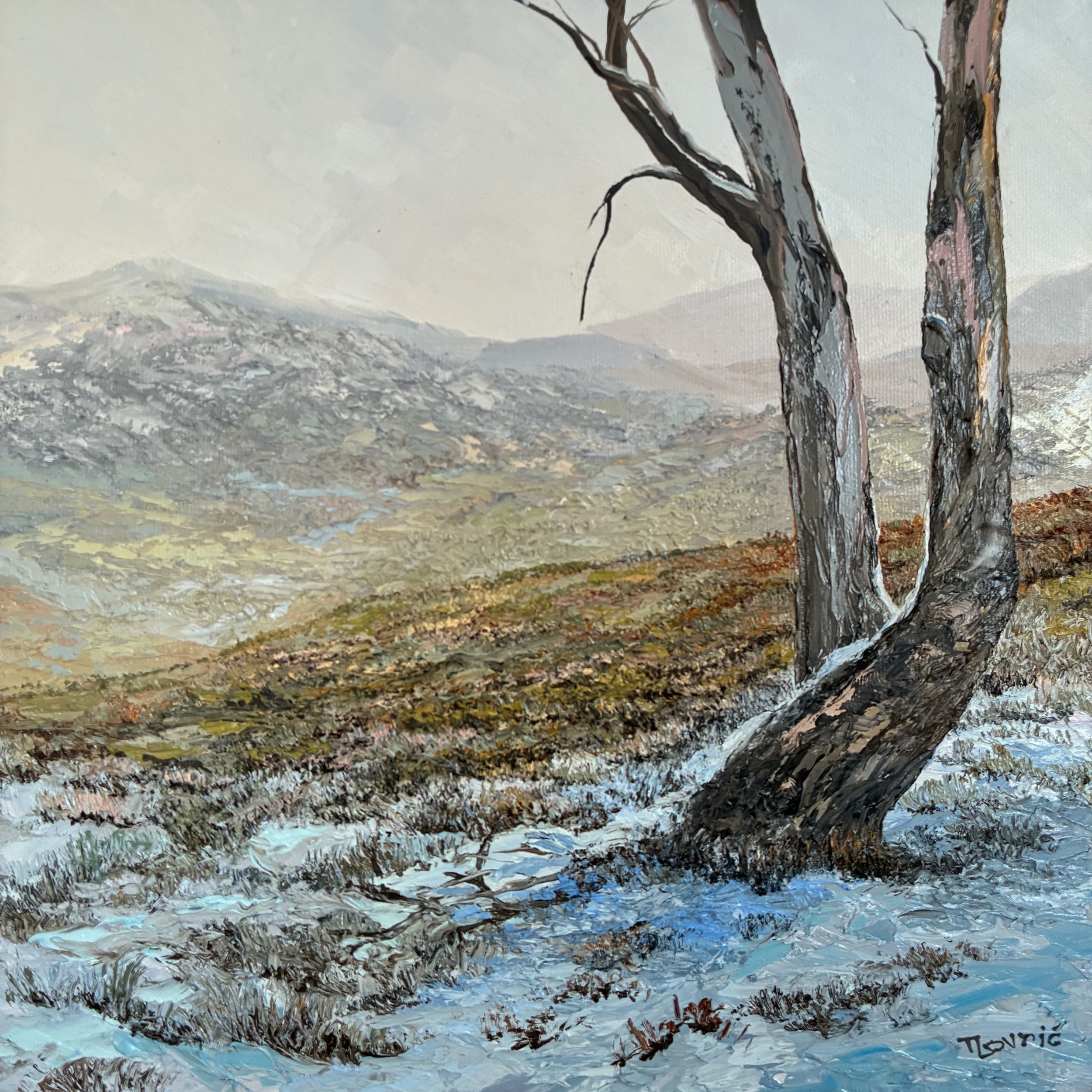 Tanya Lovric, First Snowfall .jpg