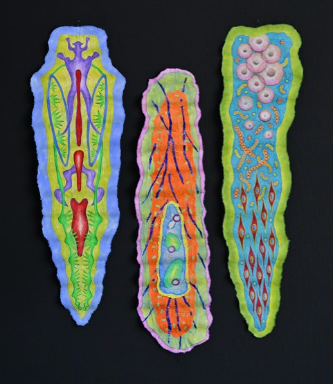 Upcoming Exhibition: The Pleiades Project, Unearthing Power